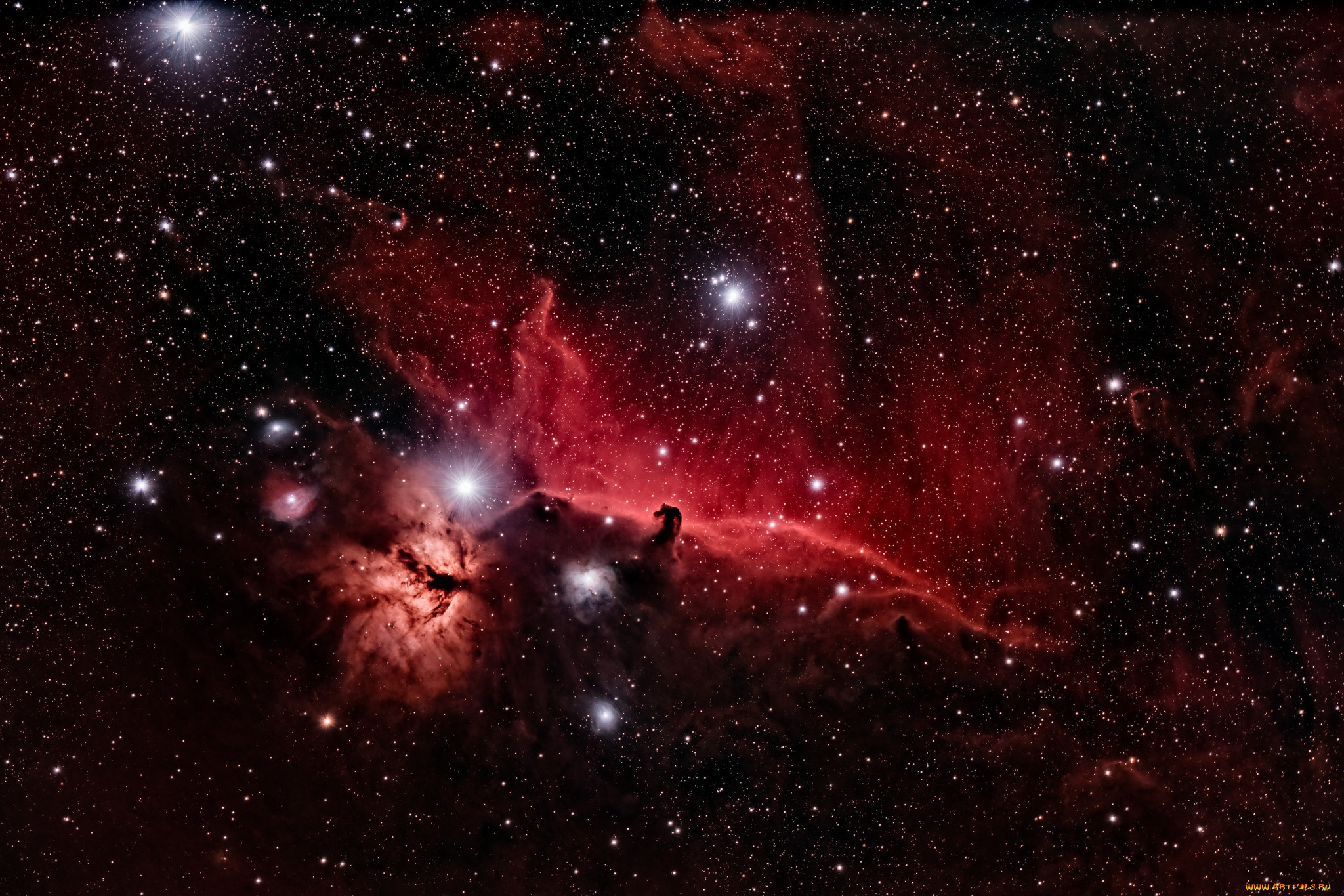 космос, галактики, туманности, конская, голова, звезды