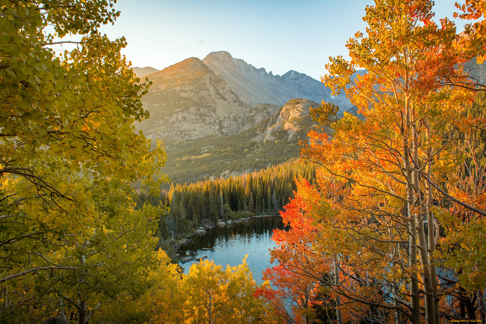 природа, реки, озера, река, лес