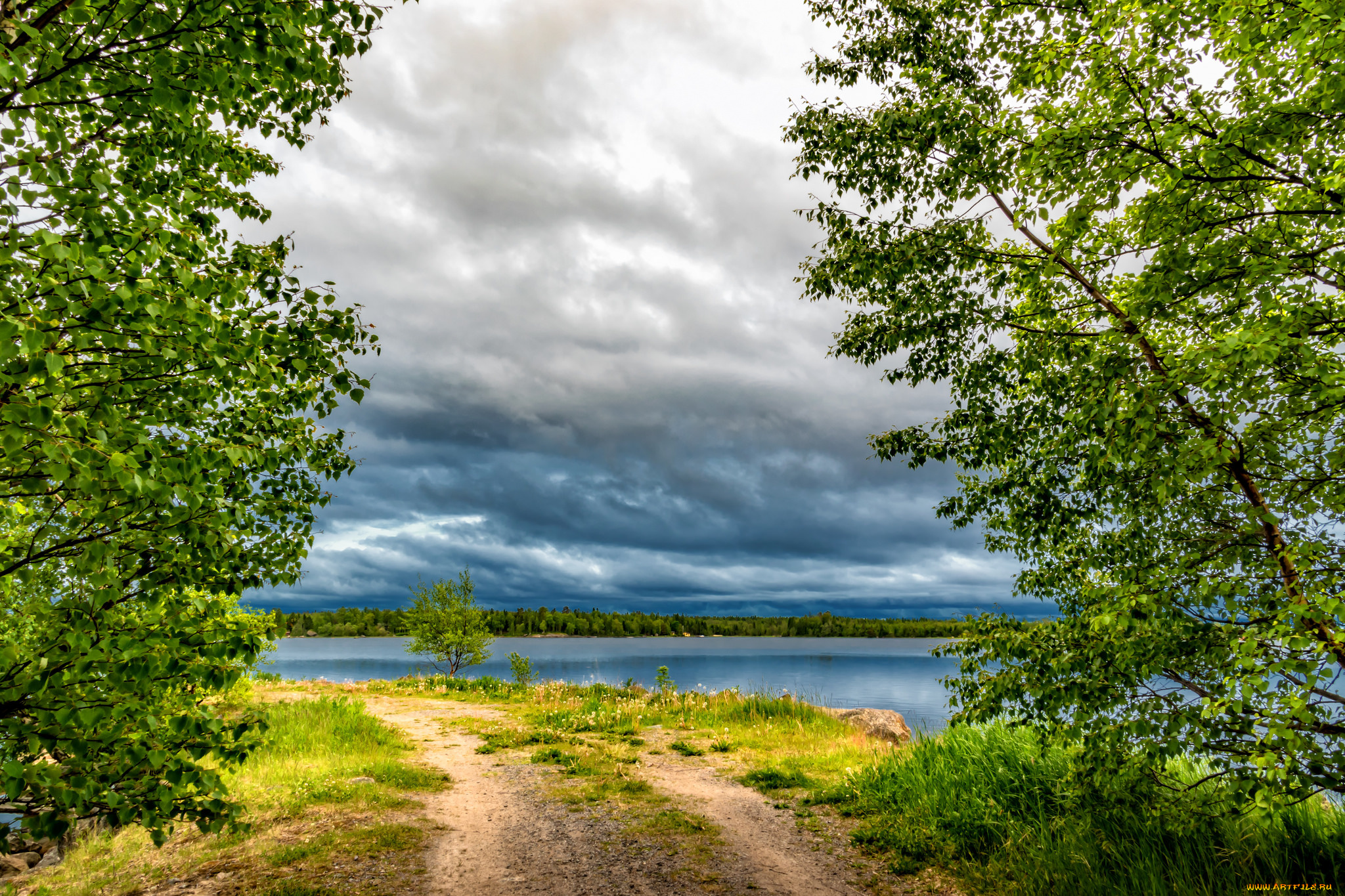 природа, реки, озера, река, лес