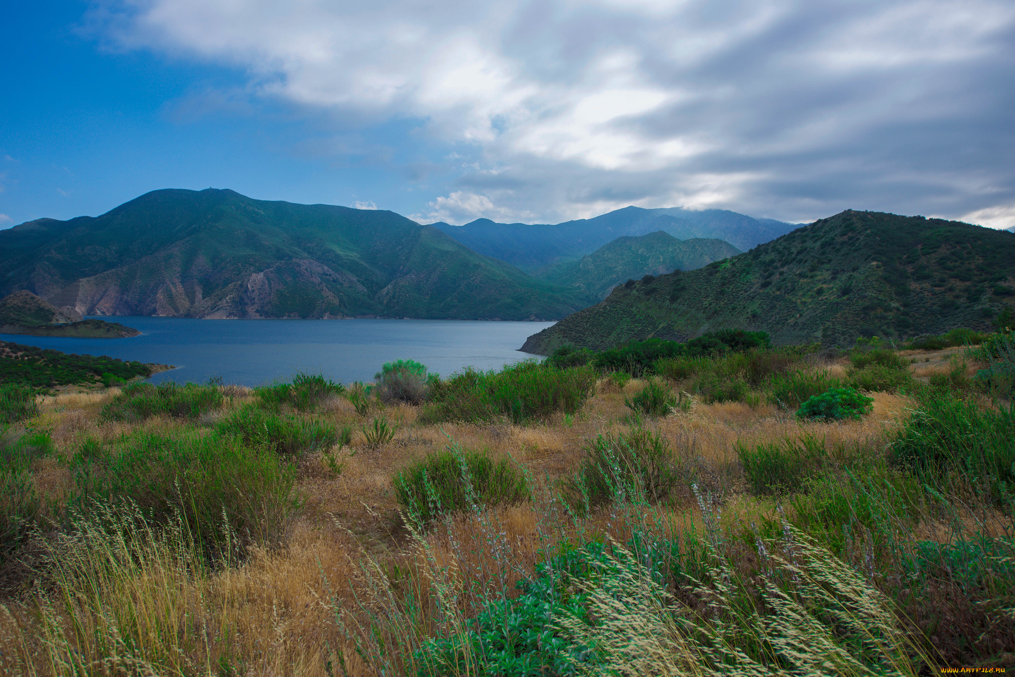 природа, реки, озера, река, лес