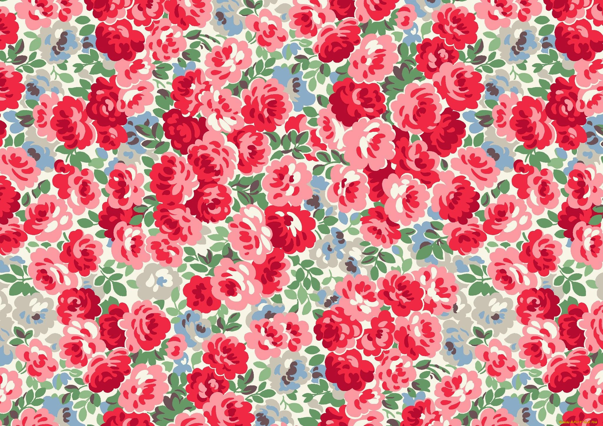 векторная, графика, цветы, , flowers, фон, цветы