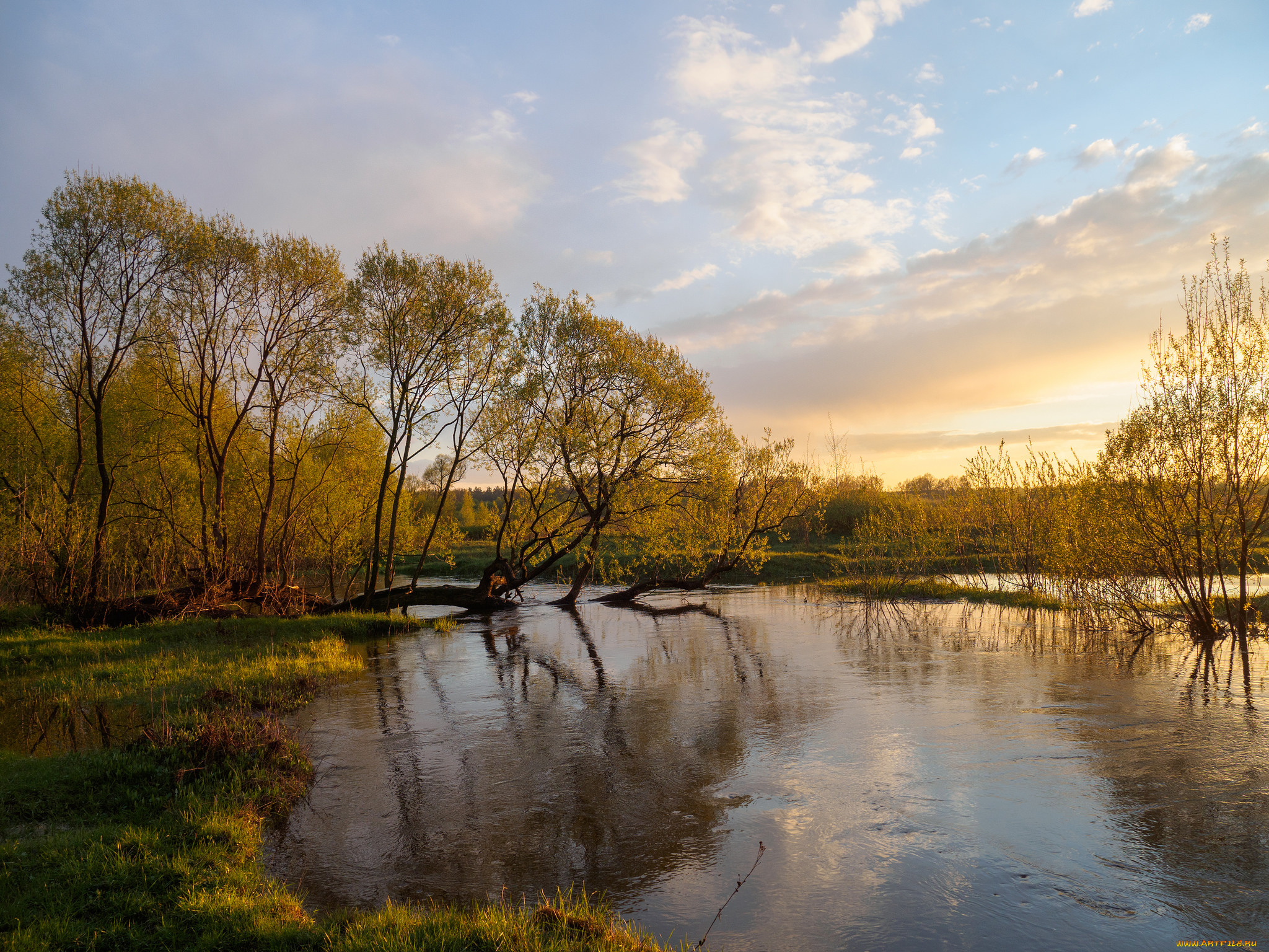 природа, реки, озера, река, лес