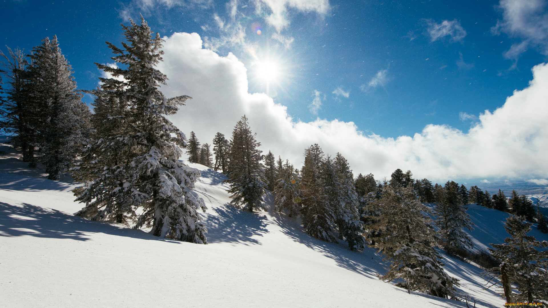 природа, зима, простор