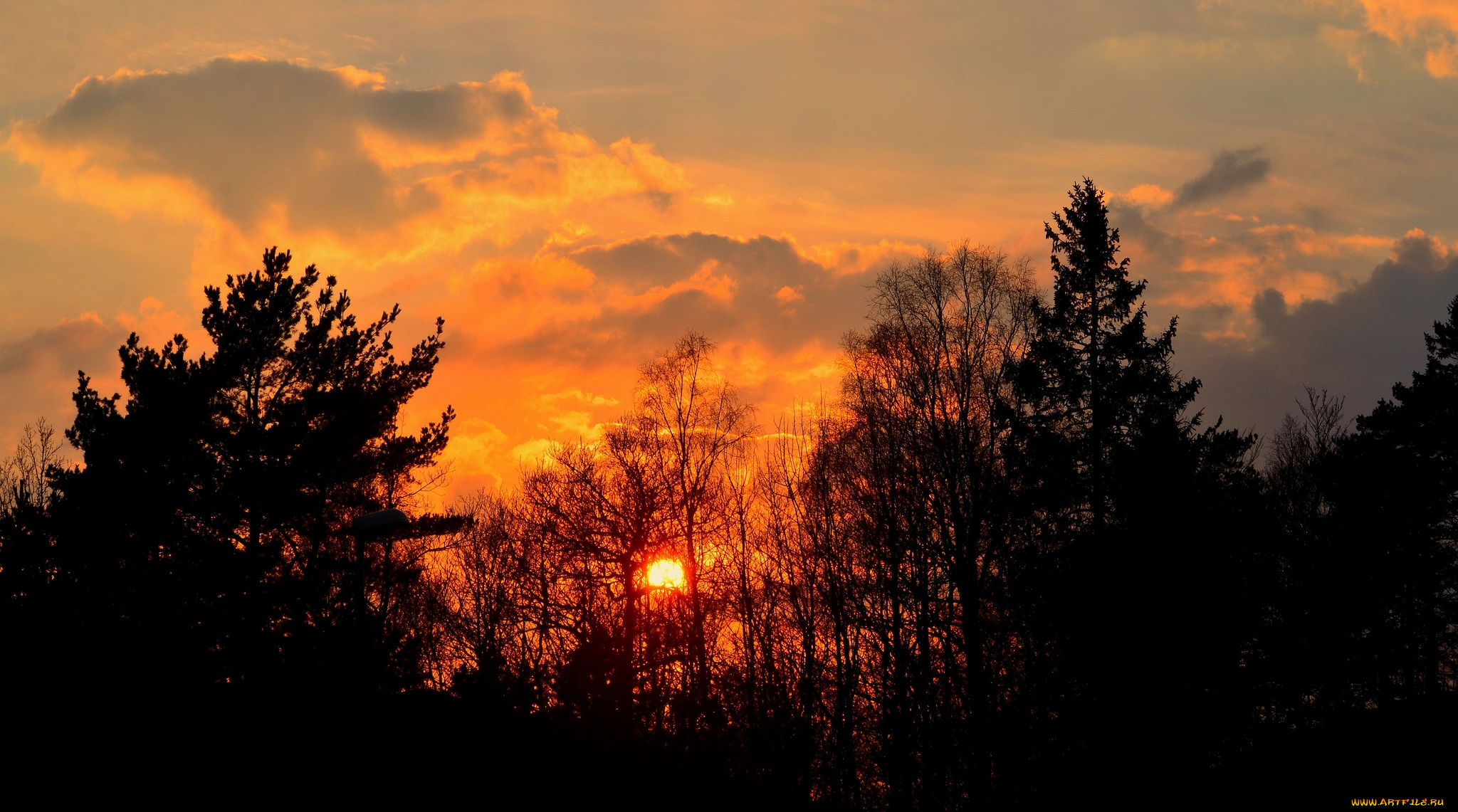 природа, восходы, закаты, простор