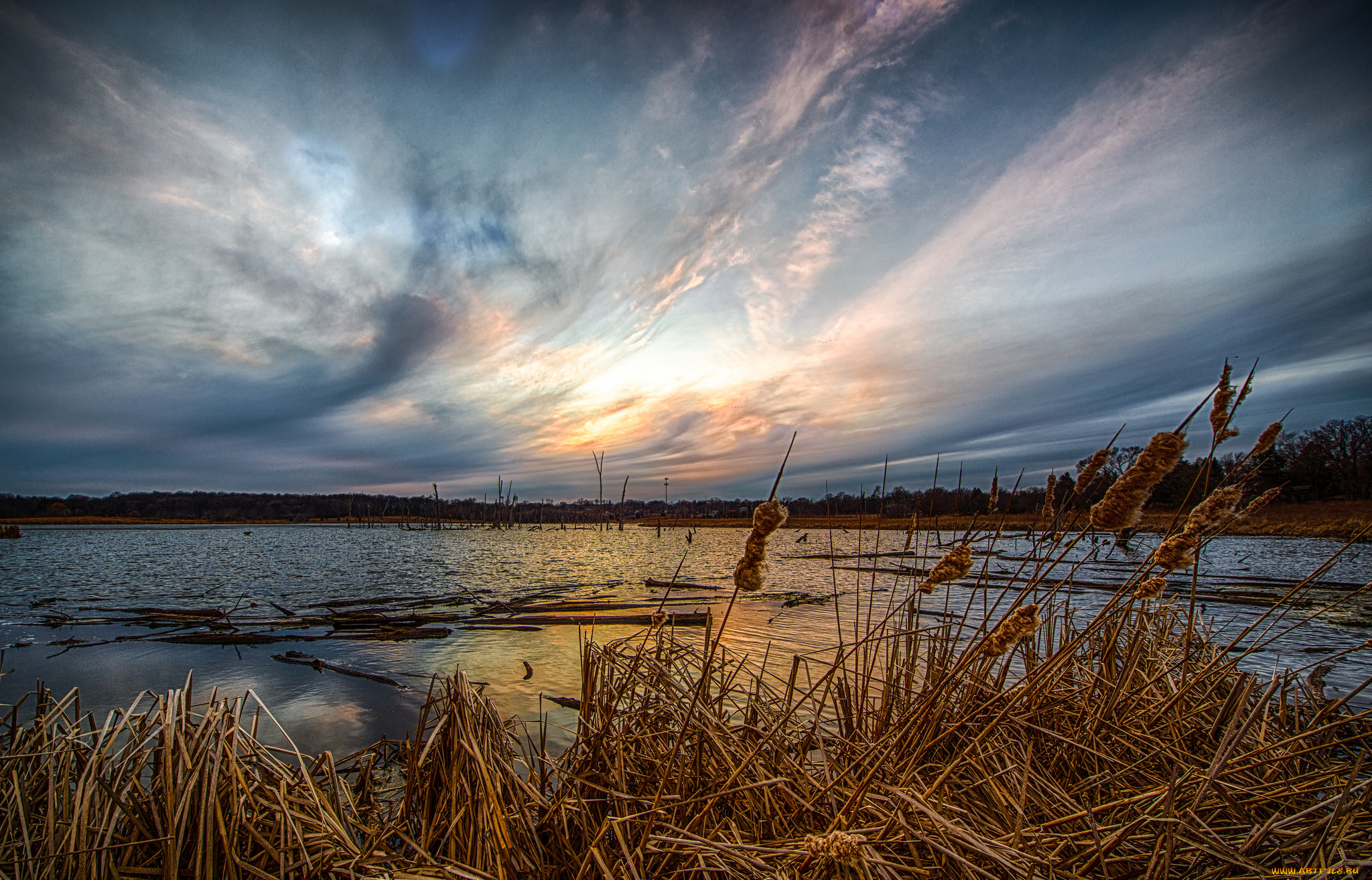 природа, реки, озера, простор