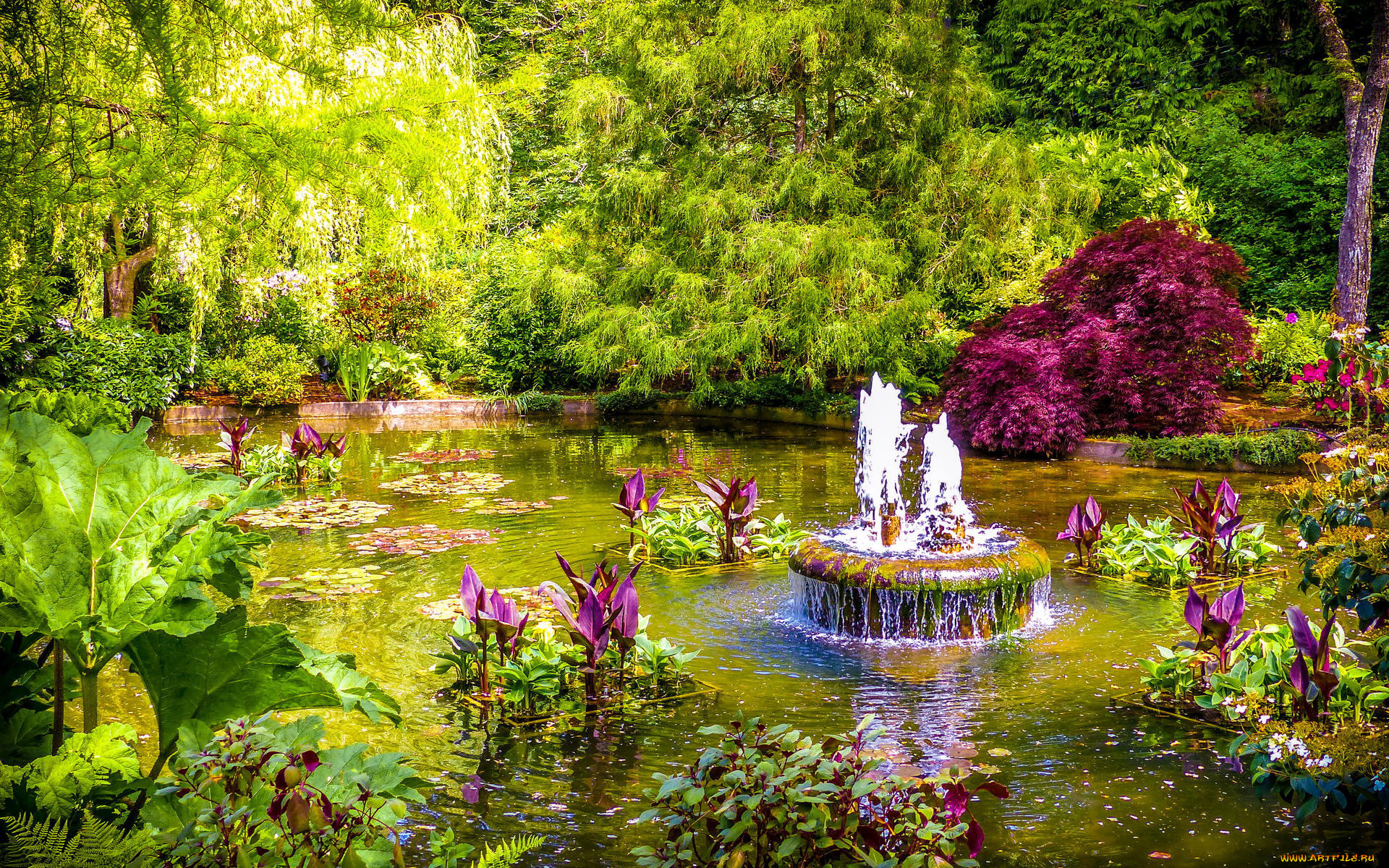 butchart, gardens, british, columbia, canada, природа, парк, butchart, gardens, british, columbia