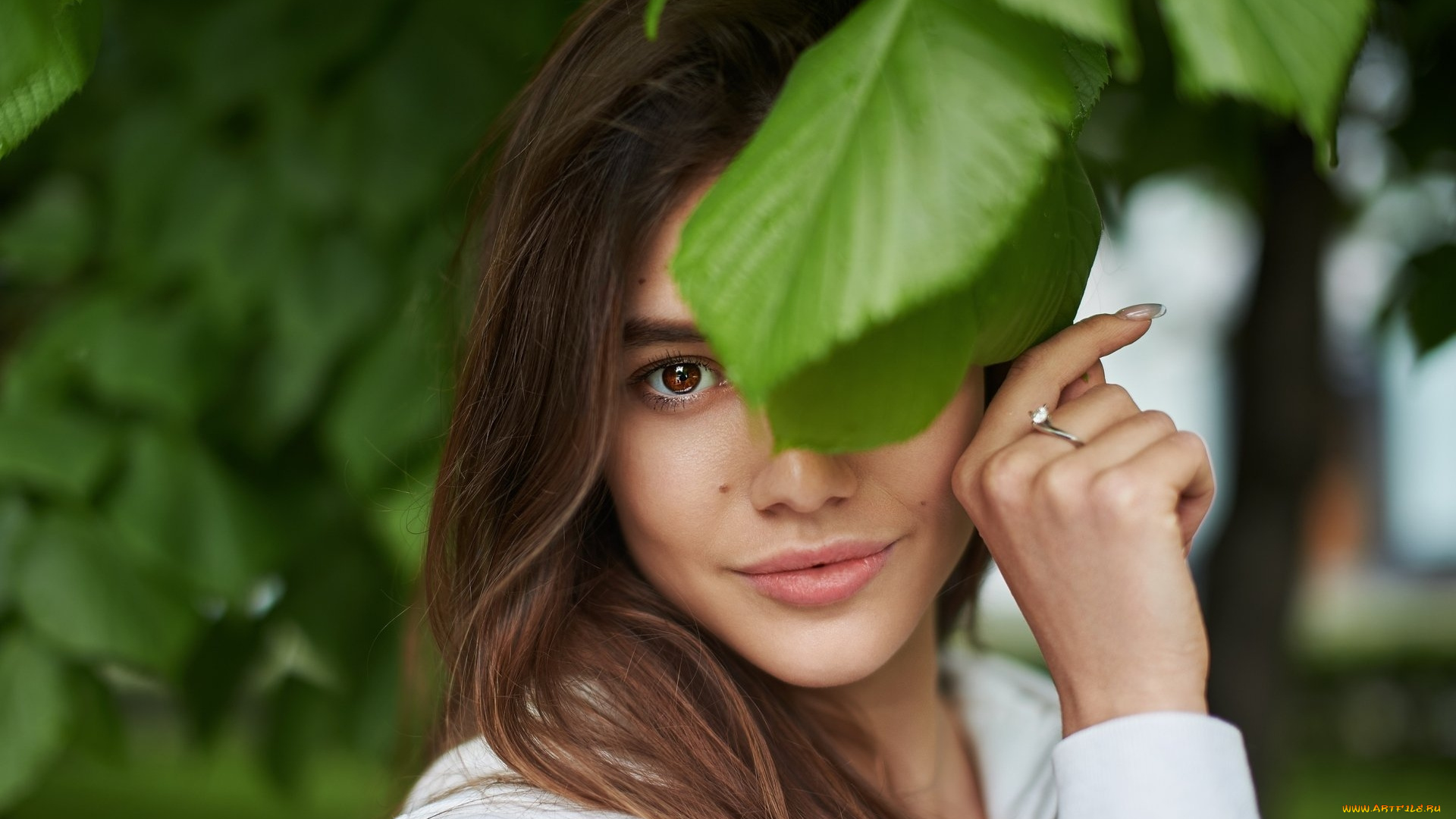 девушки, -, лица, , портреты, карие, глаза, взгляд, лист