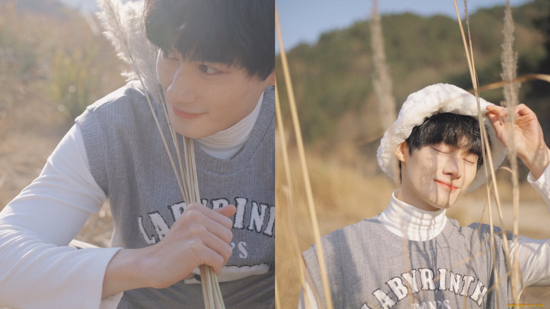 мужчины, wang, zhuocheng, актер, свитер, шапка, колоски