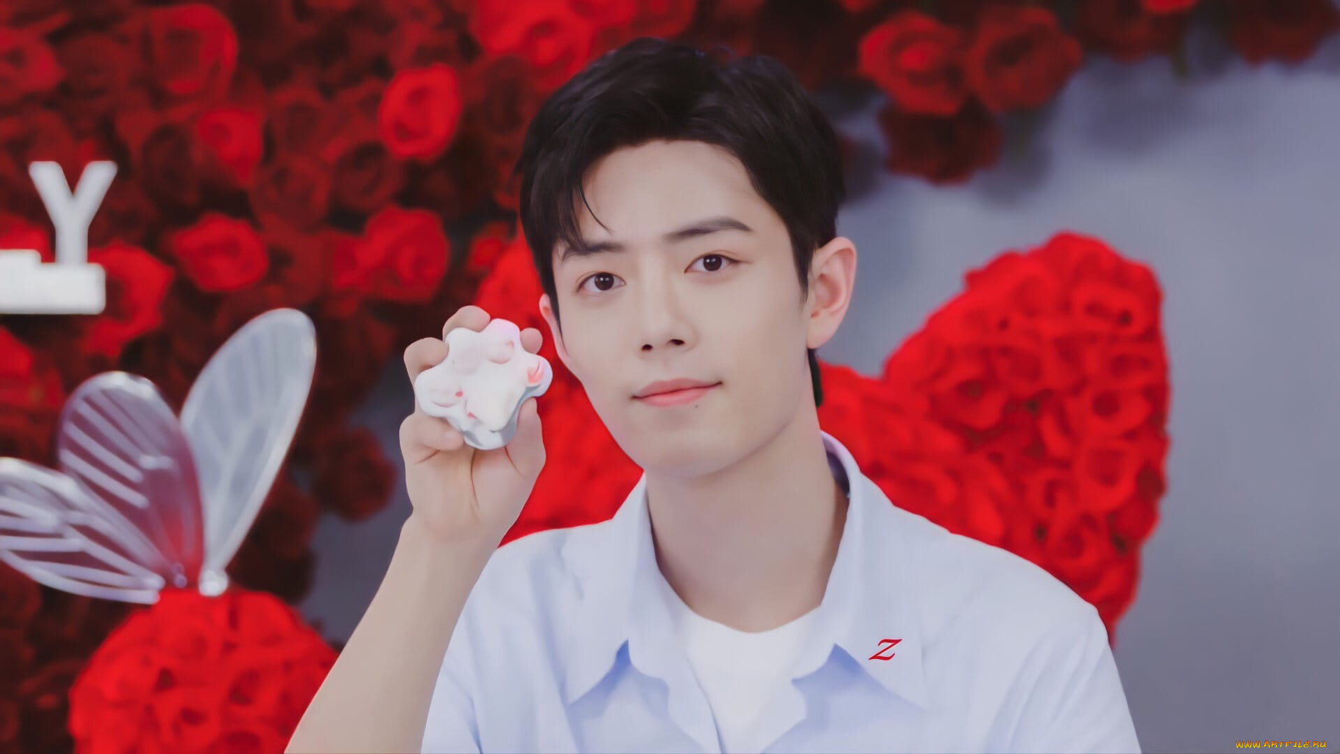 мужчины, xiao, zhan, актер, розы, бабочка, презентация, лапка