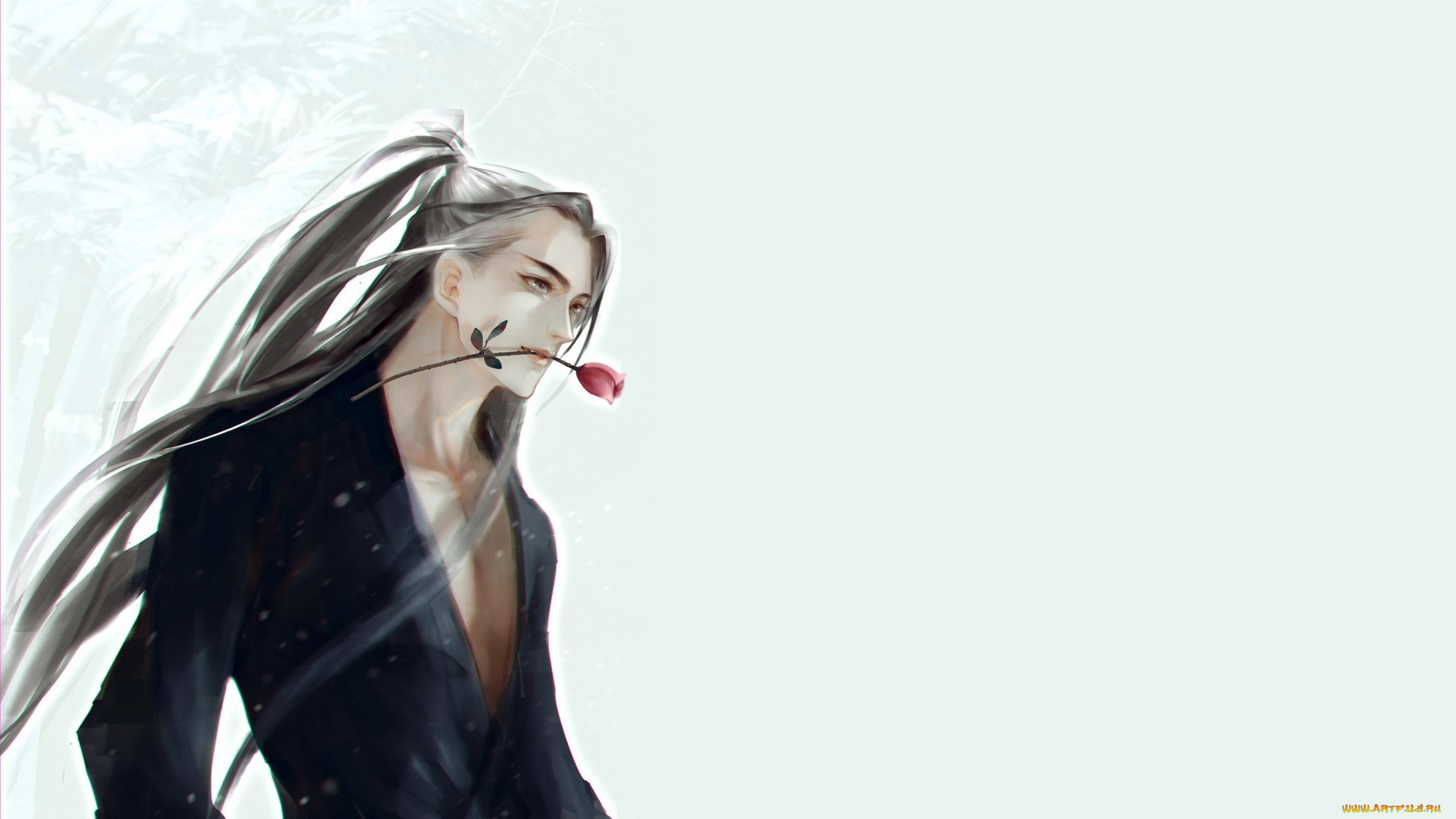 сюэ, ян, аниме, mo, dao, zu, shi, парень, роза