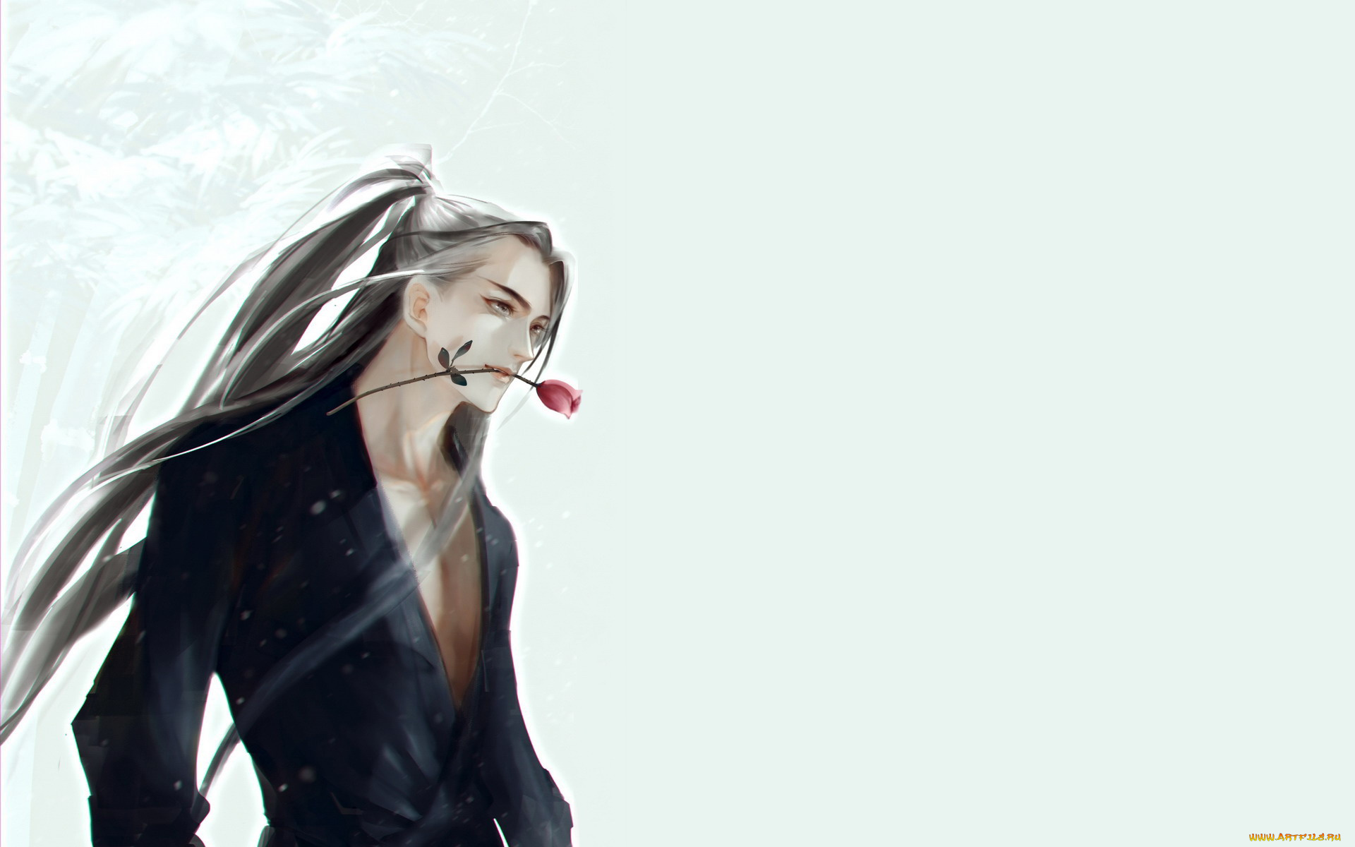 сюэ, ян, аниме, mo, dao, zu, shi, парень, роза