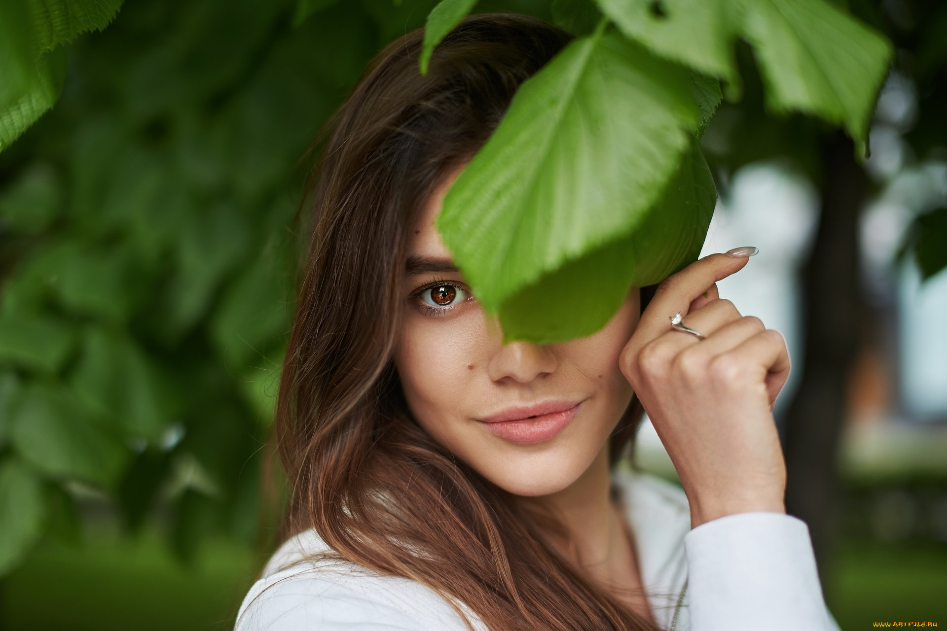 девушки, -, лица, , портреты, карие, глаза, взгляд, лист