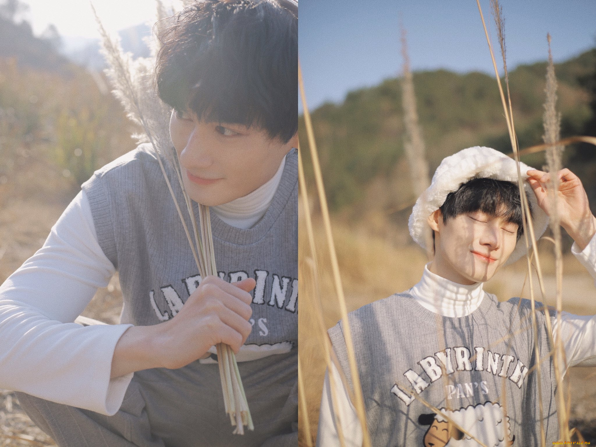 мужчины, wang, zhuocheng, актер, свитер, шапка, колоски