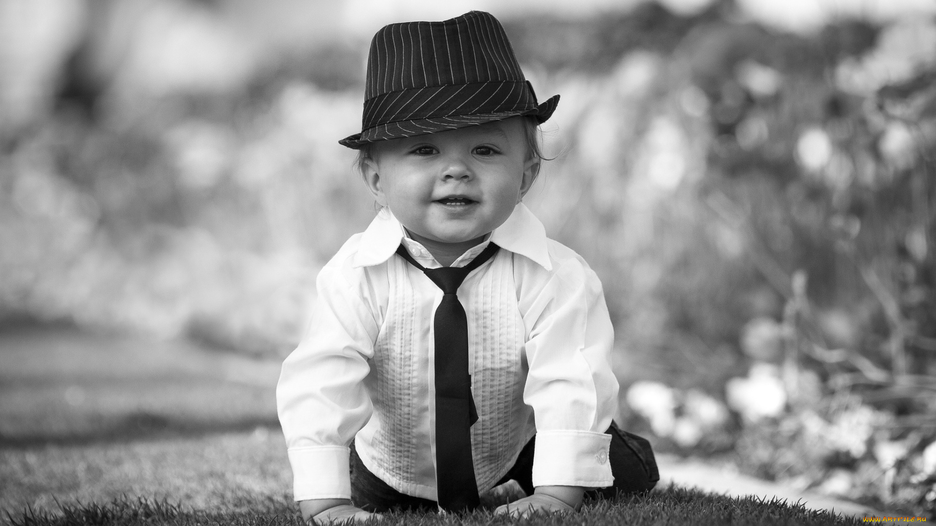 разное, дети, мальчик, шляпа, галстук