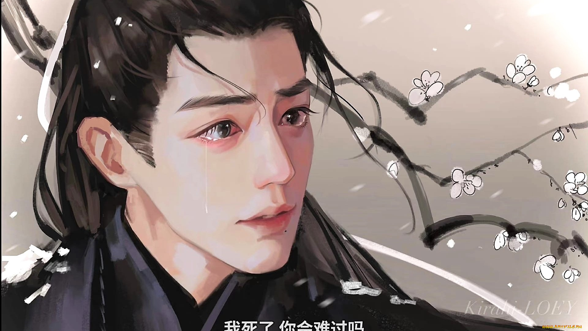 рисованное, кино, , мультфильмы, сяо, чжань, ветка