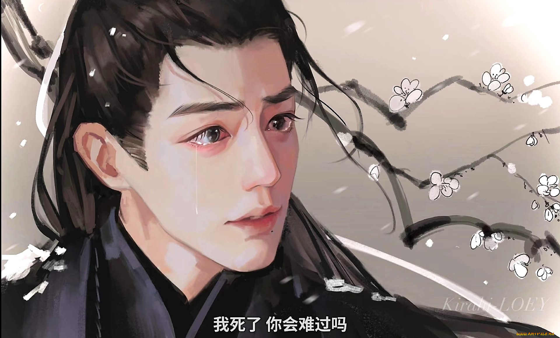 рисованное, кино, , мультфильмы, сяо, чжань, ветка