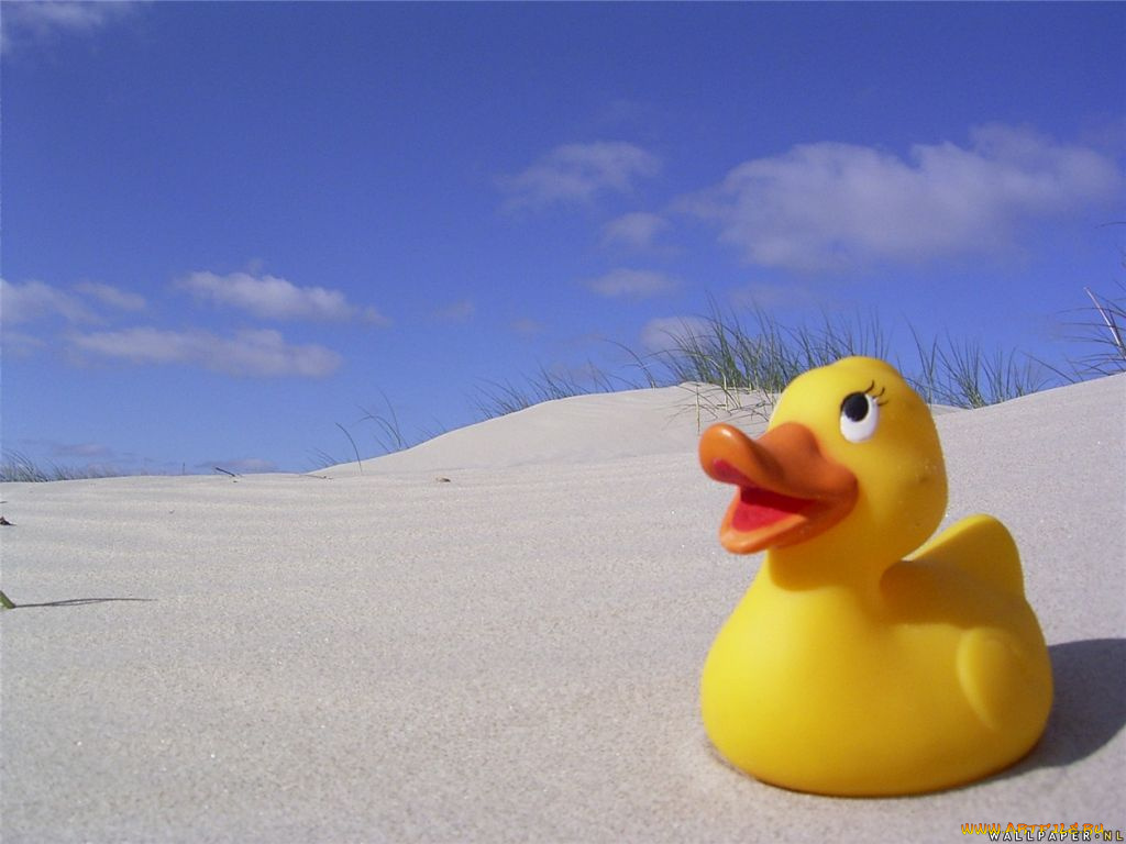 utenok, разное, игрушки