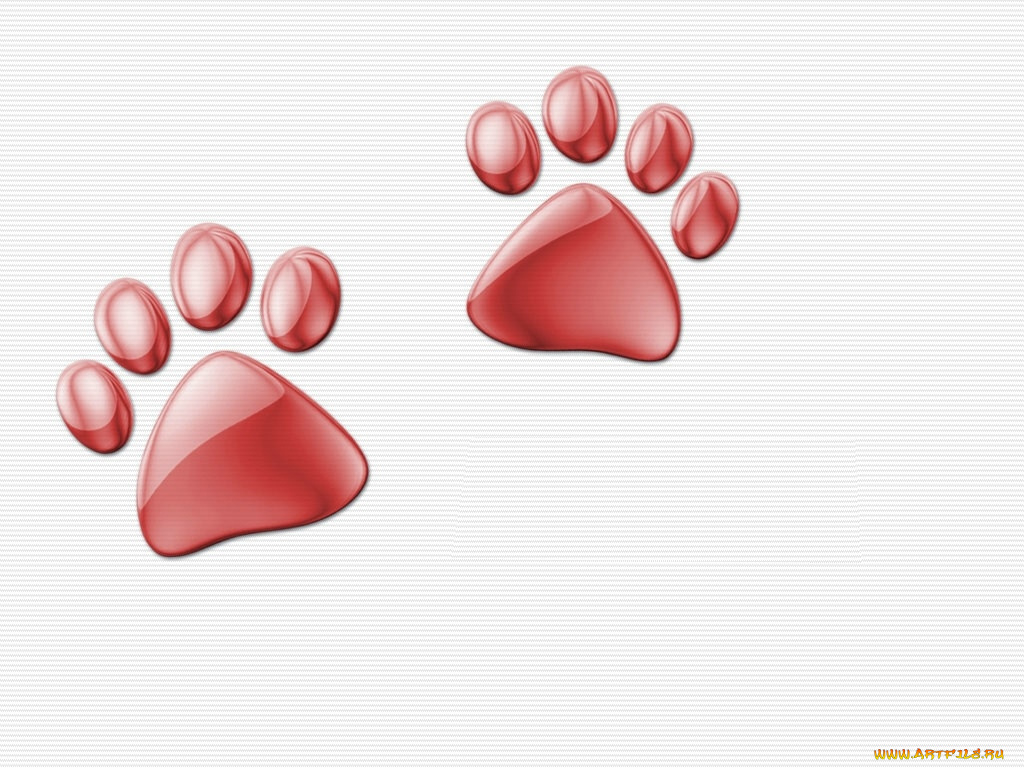 31, компьютеры, desktop, decor