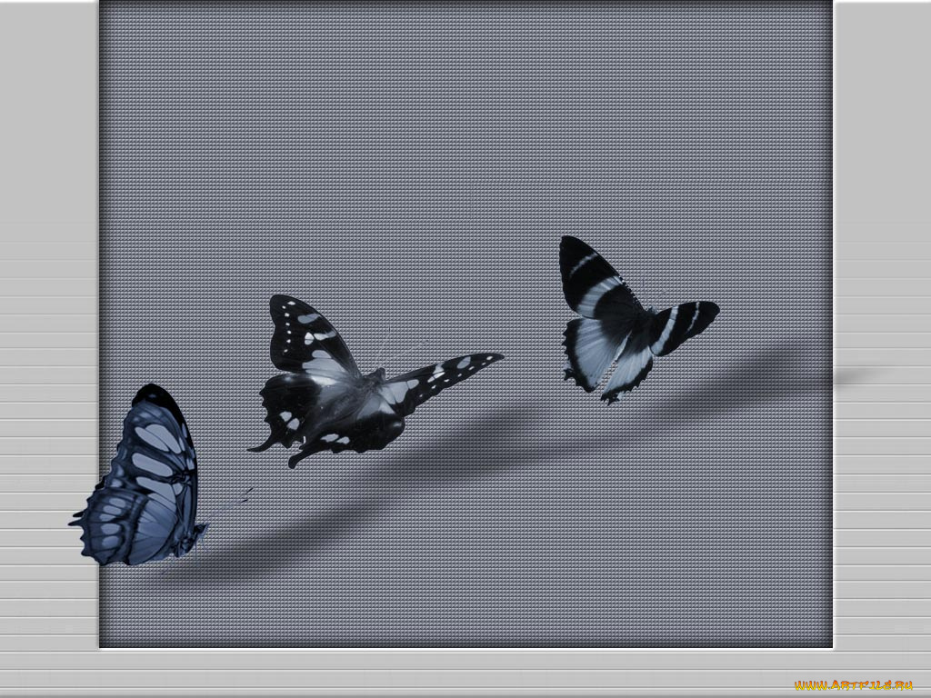 33, компьютеры, desktop, decor