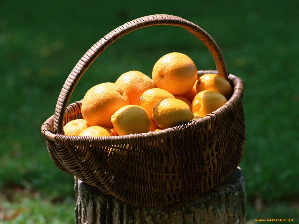 еда, цитрусы