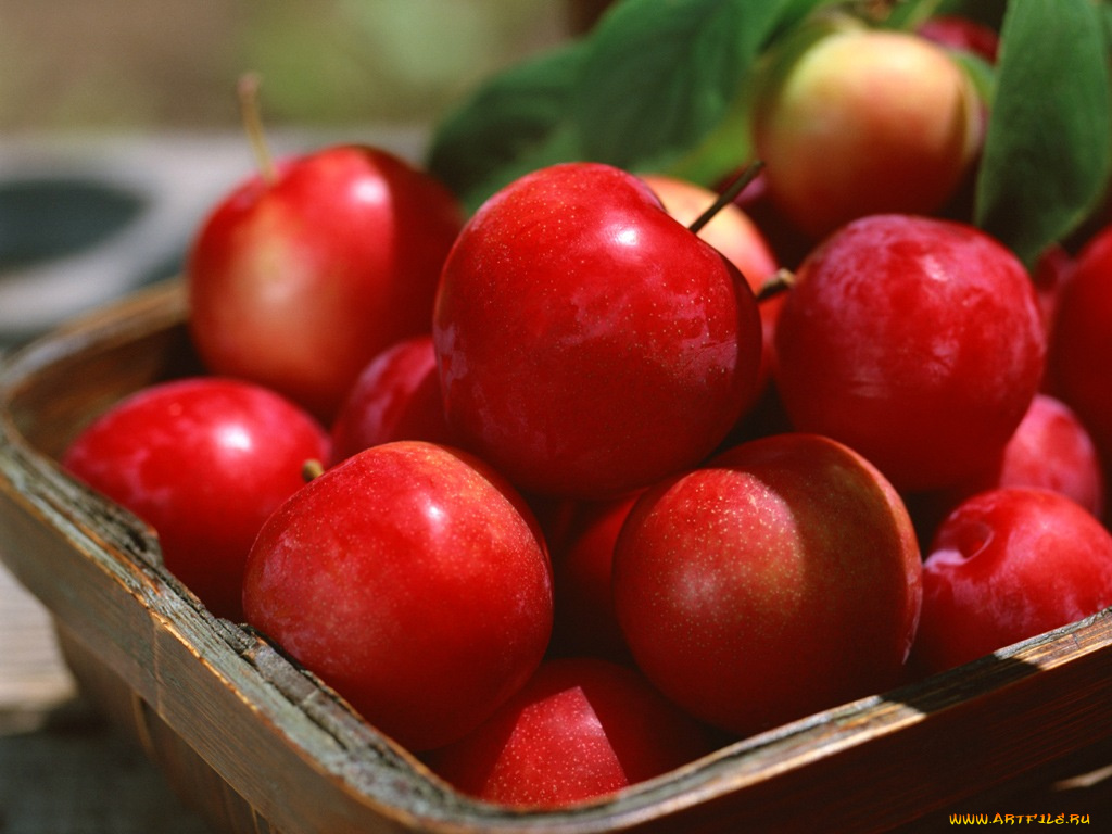 еда, Яблоки