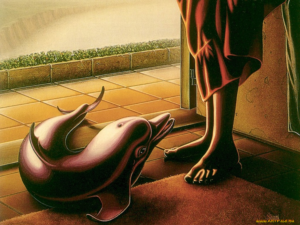 рисованные, животные, дельфины