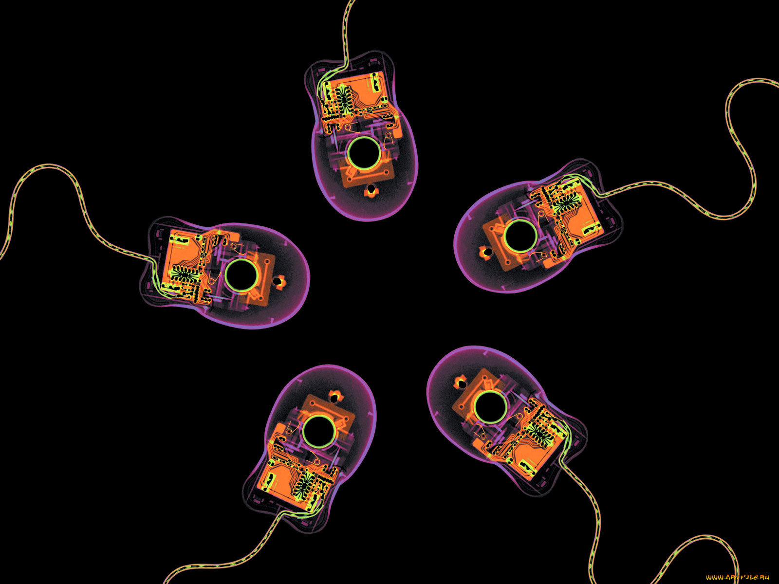 рентген, 10, разное