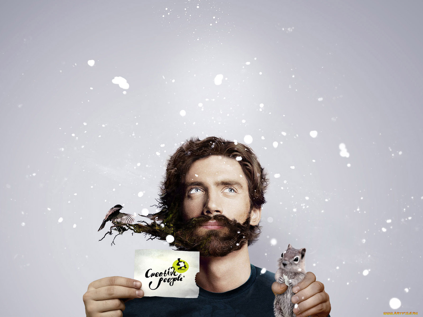 юмор, приколы