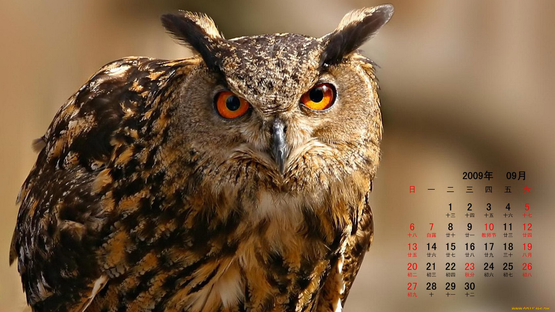 календари, животные