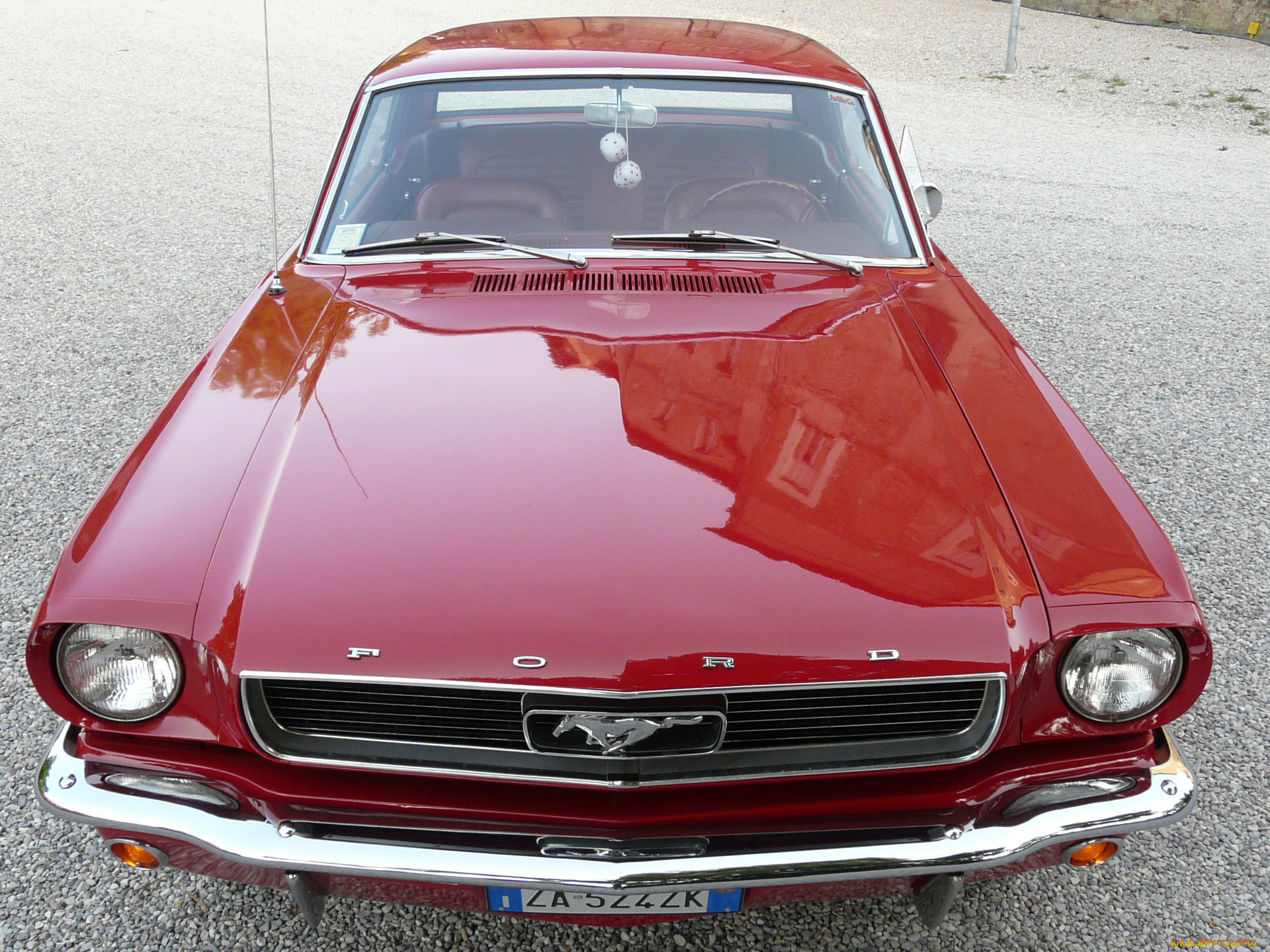 автомобили, mustang