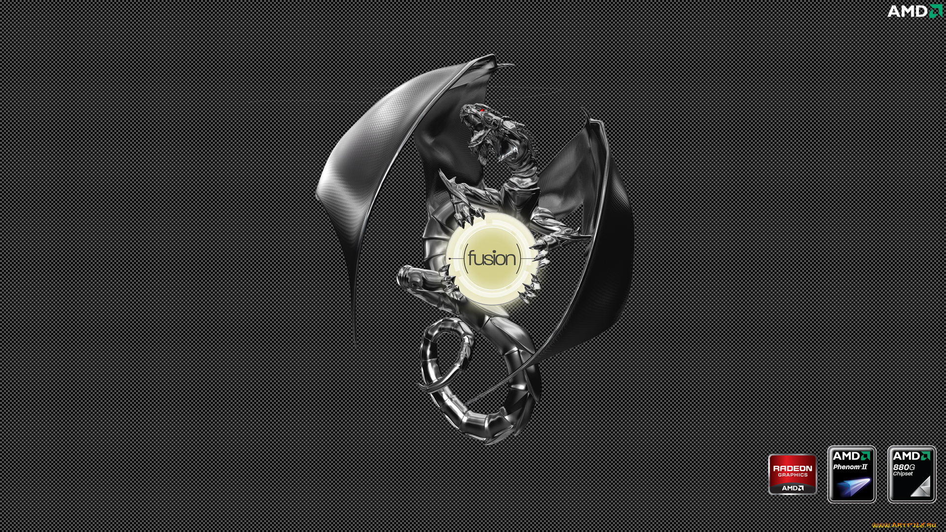 компьютеры, amd