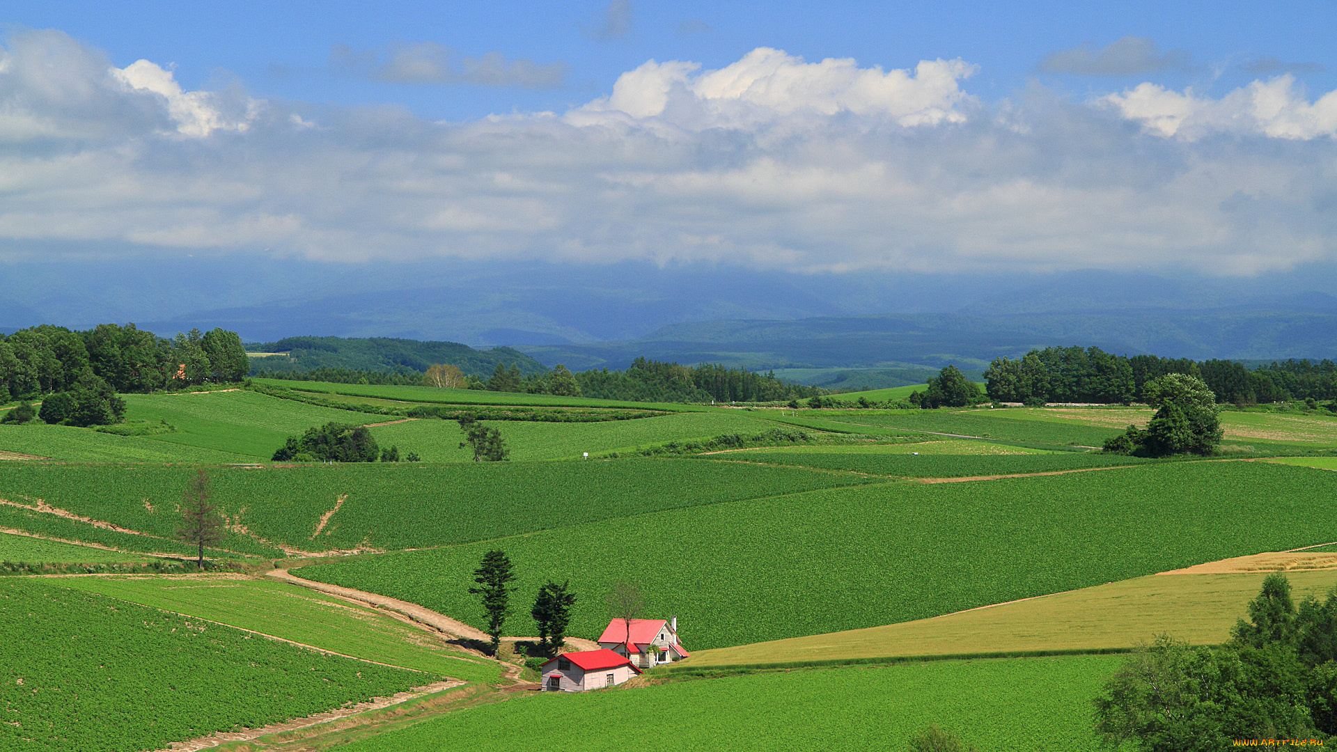 природа, поля, пейзаж