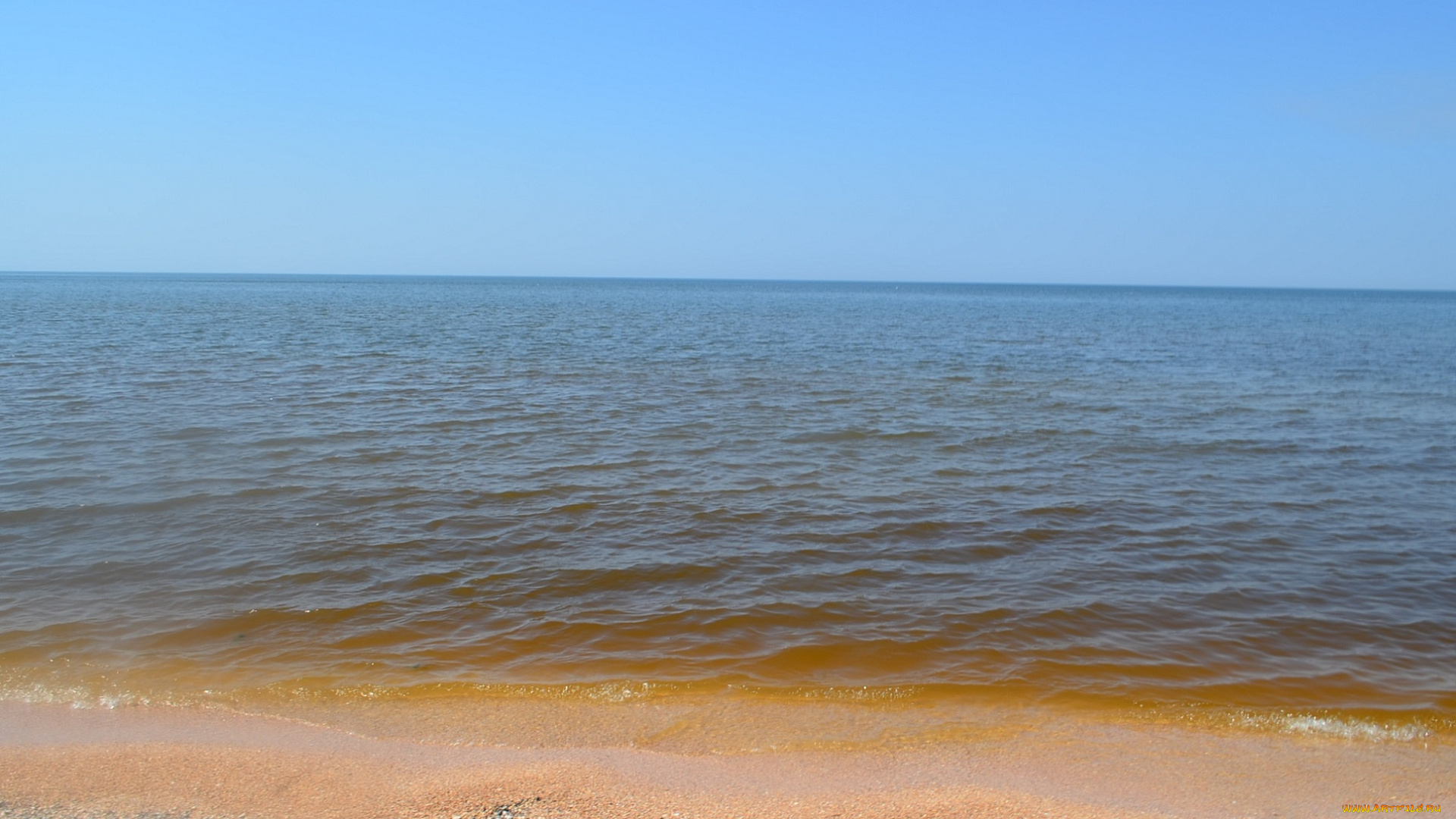 природа, моря, океаны, волна, пляж, море