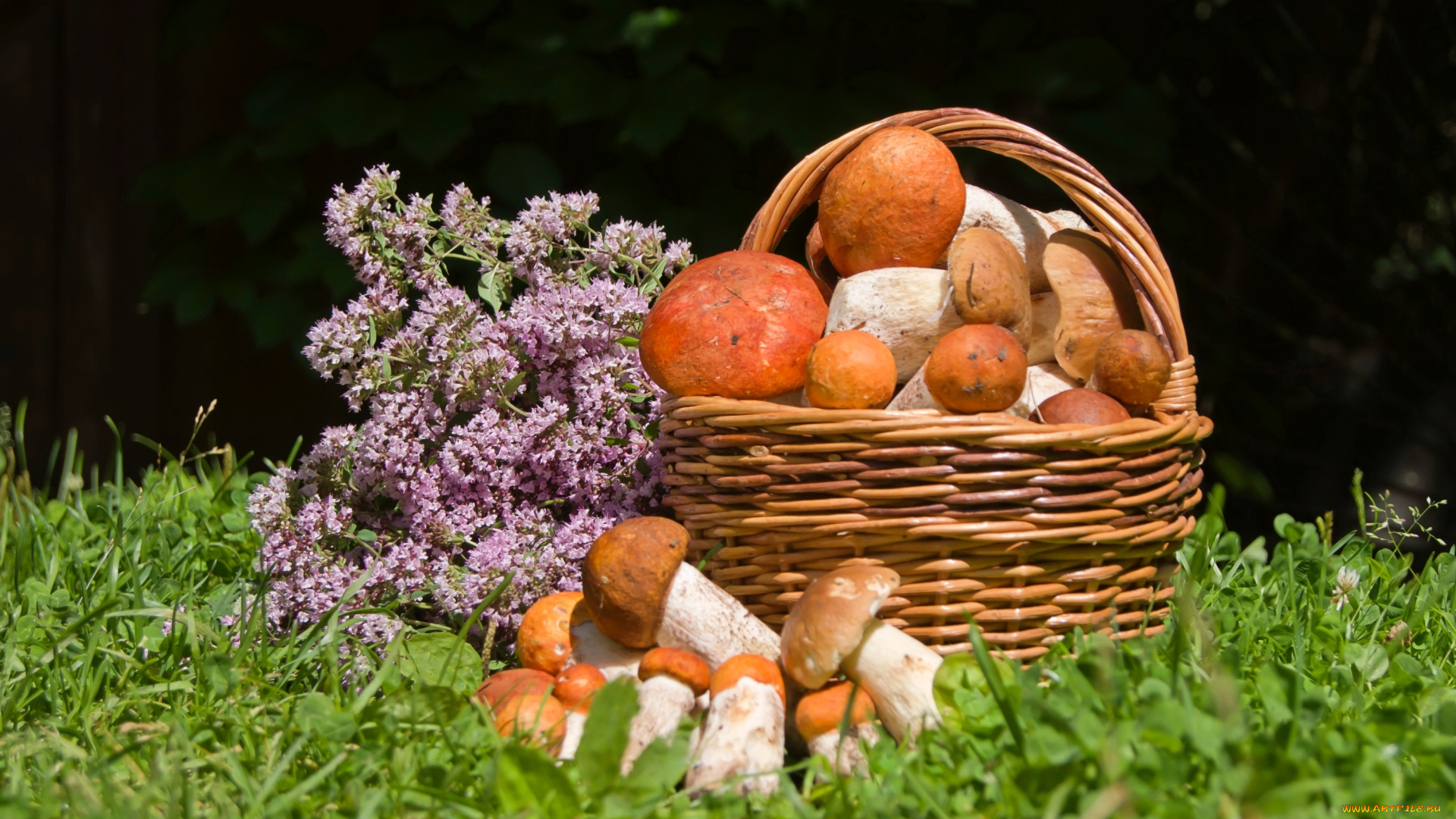 еда, грибы, , грибные, блюда, трава, цветы, корзина