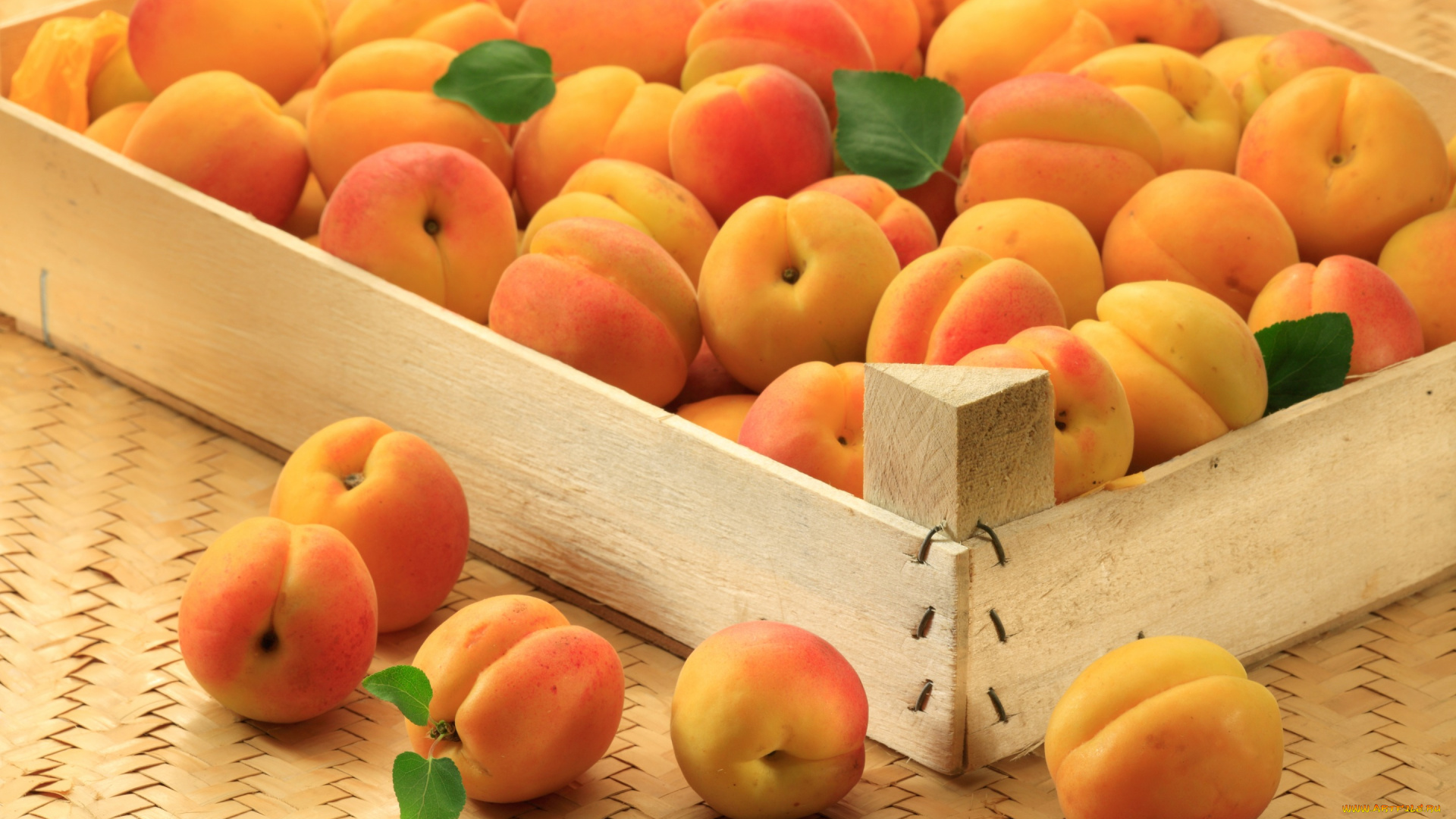 еда, персики, , сливы, , абрикосы, apricot, фрукты, абрикосы