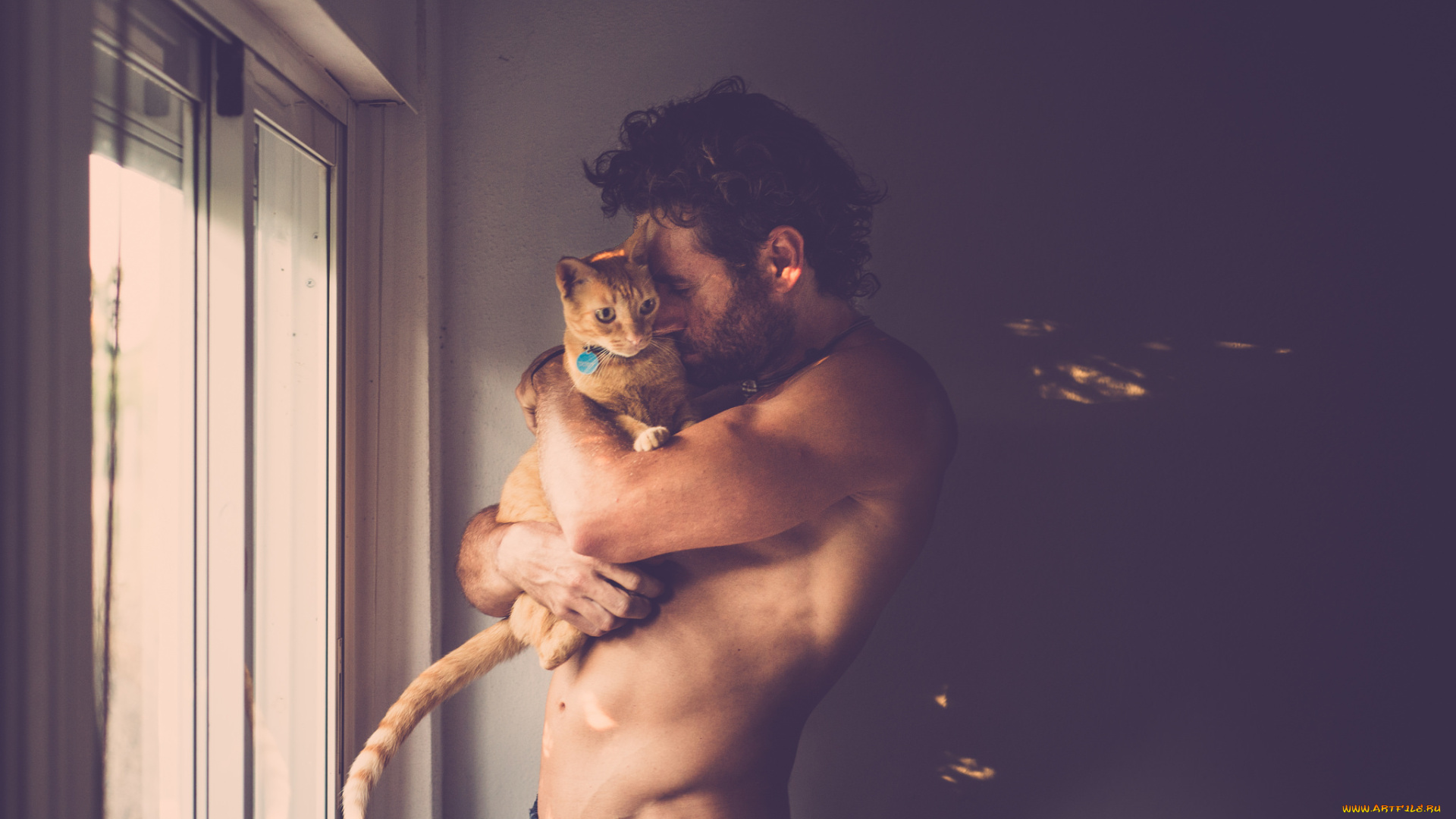 мужчины, -, unsort, рыжий, кот, мужчина