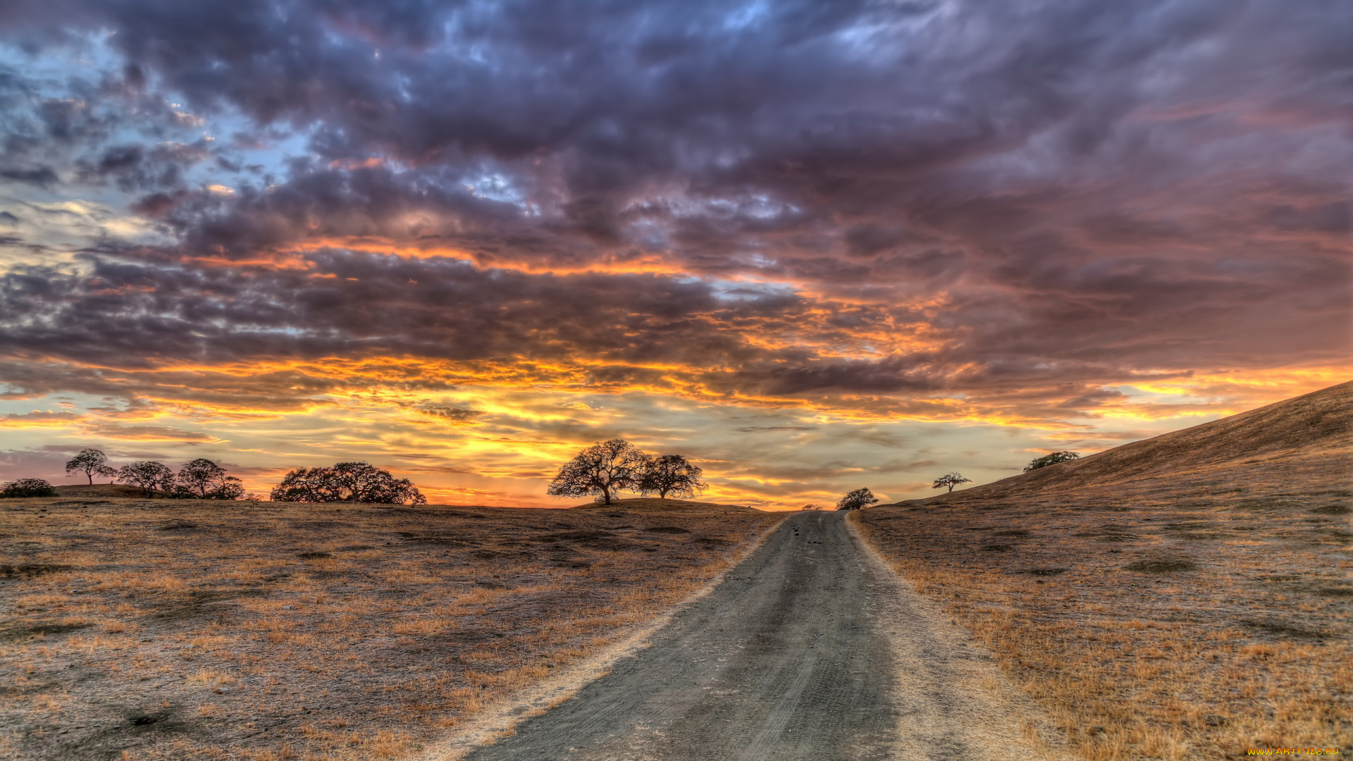 природа, дороги, поле, небо, дорога, пейзаж