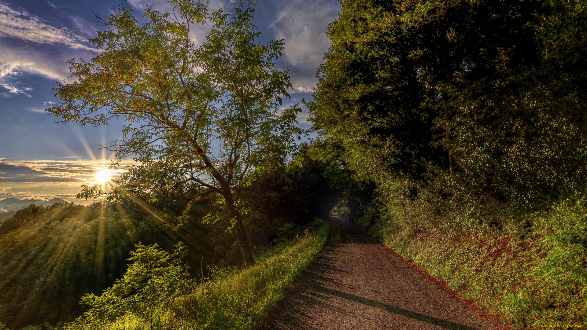 природа, дороги, рассвет