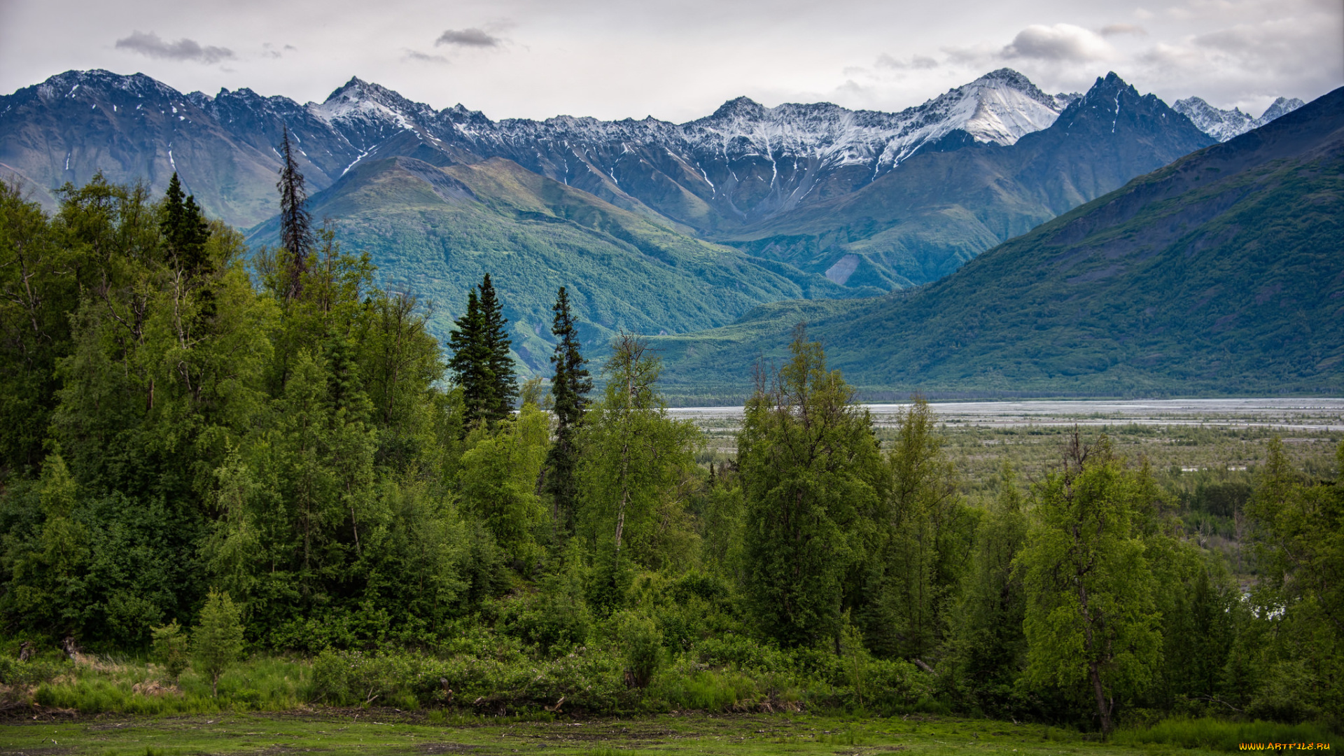 природа, горы, лес