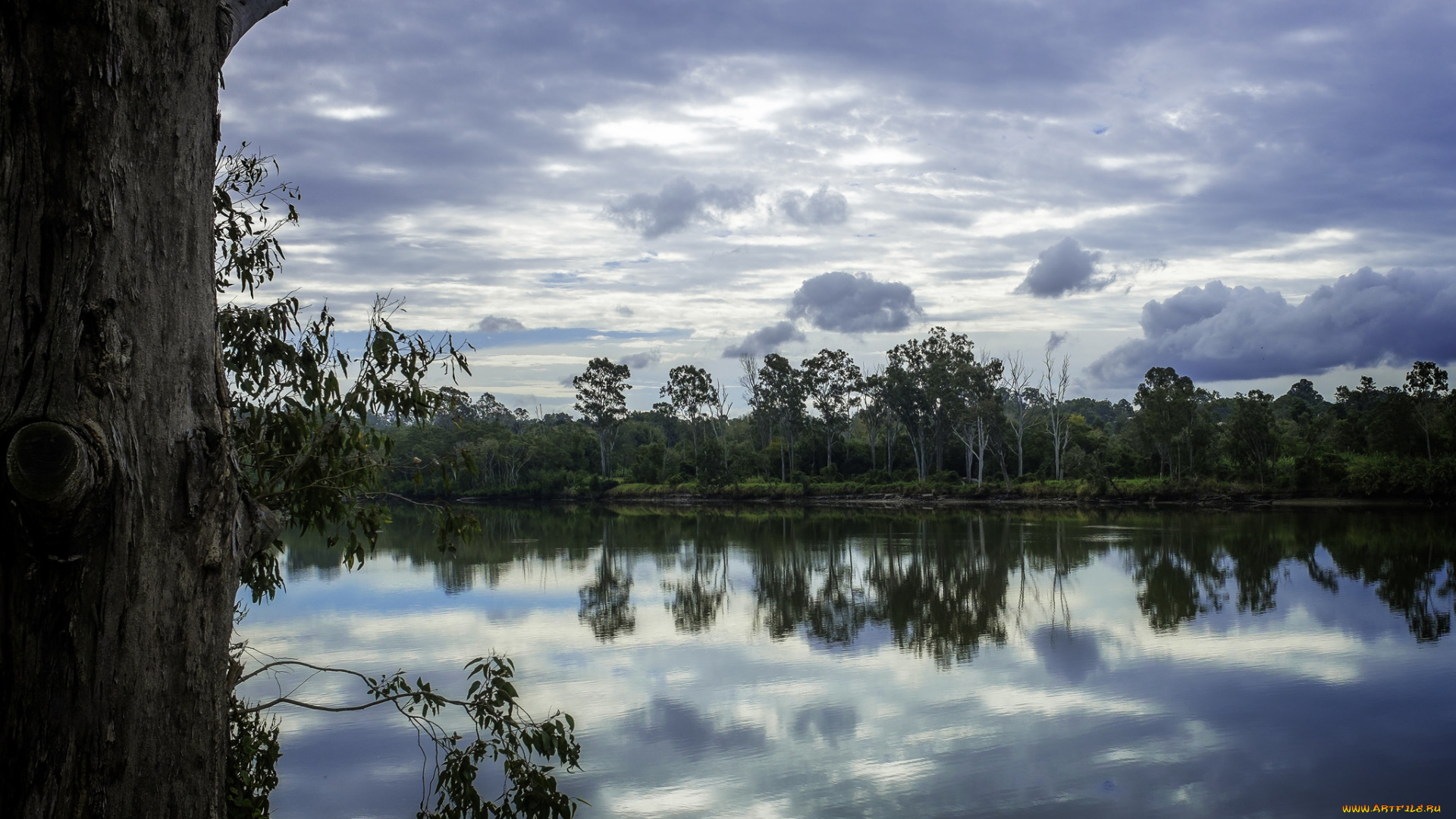 природа, реки, озера, вода, деревья, река