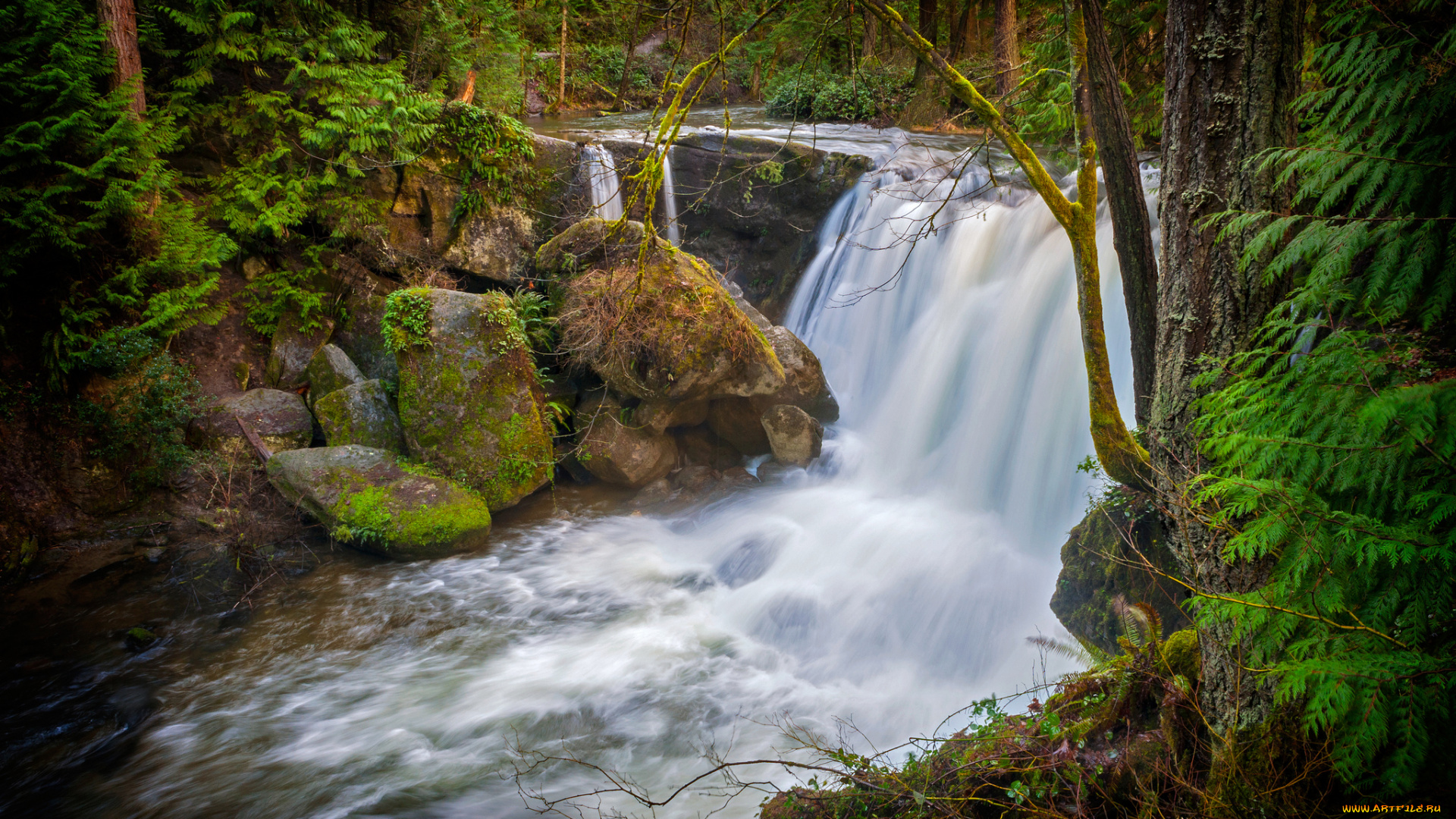 природа, водопады, водопад, река, лес