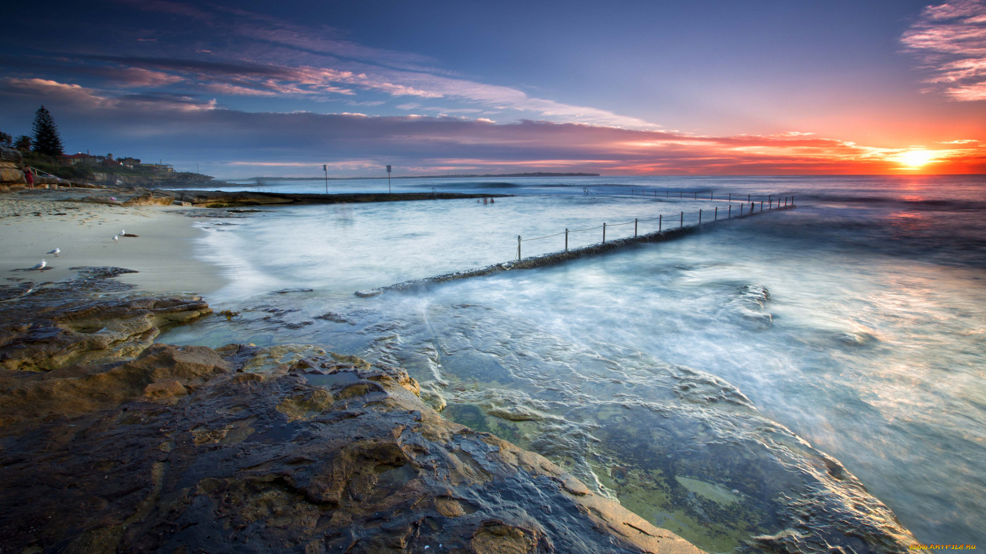 природа, восходы, закаты, море, берег, пляж, закат, чайки