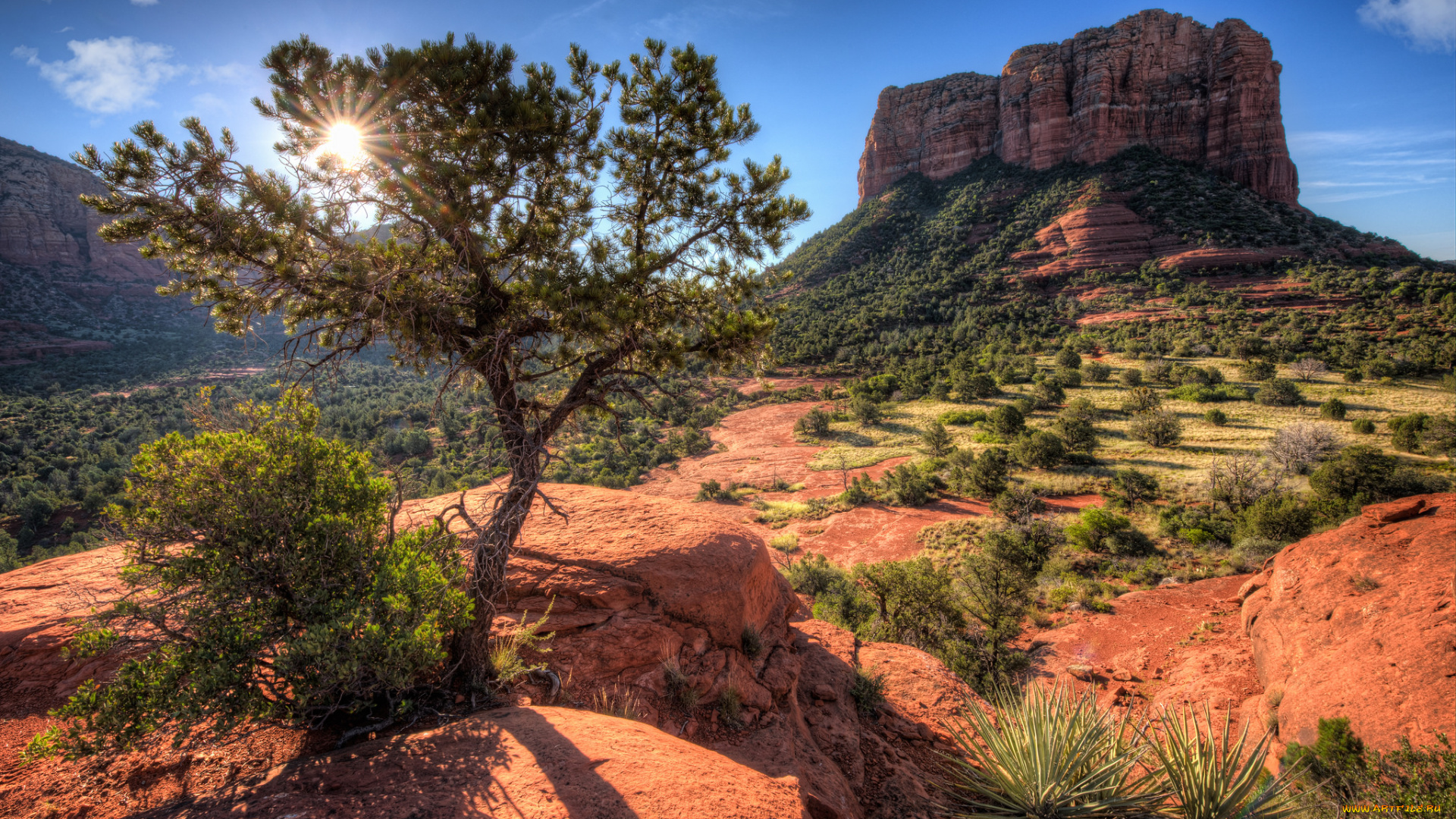природа, восходы, закаты, солнце, скалы, деревья