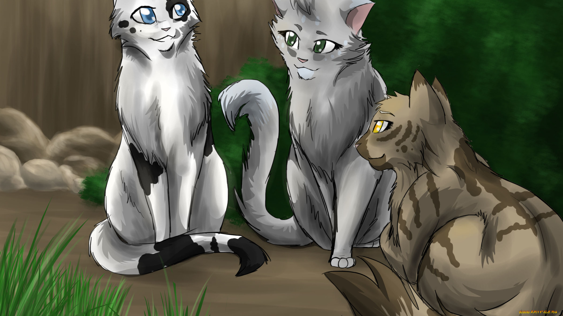 рисованное, животные, , коты, кошки, фон, взгляд