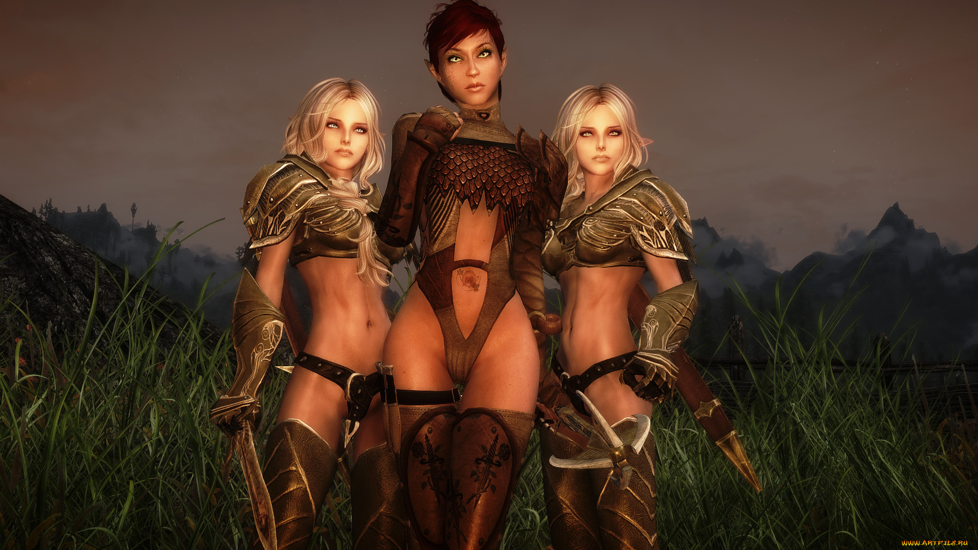 the, elder, scrolls, v, , skyrim, видео, игры, оружие, фон, взгляд, эльфийки