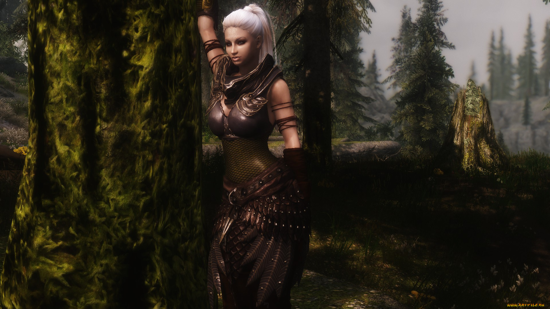 видео, игры, the, elder, scrolls, v, , skyrim, фон, взгляд, девушка