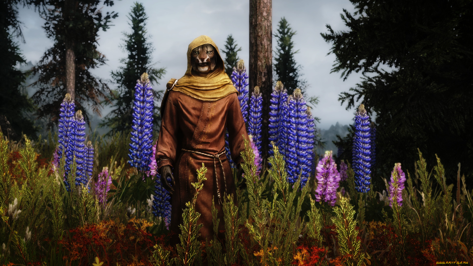 видео, игры, the, elder, scrolls, v, , skyrim, персонаж