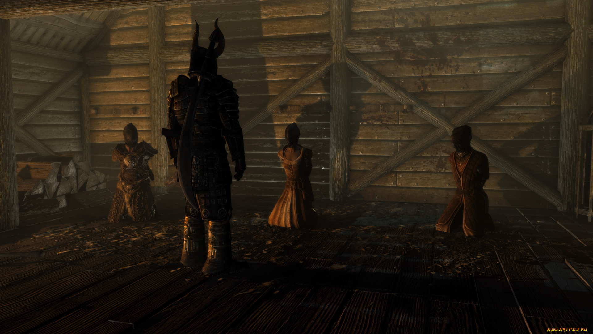 видео, игры, the, elder, scrolls, v, , skyrim, пленицы, существо, фон, взгляд, девушки