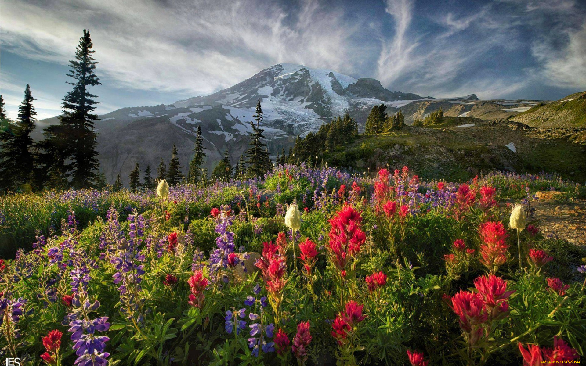 природа, луга, цветы, луг, деревья, горы, облака, небо