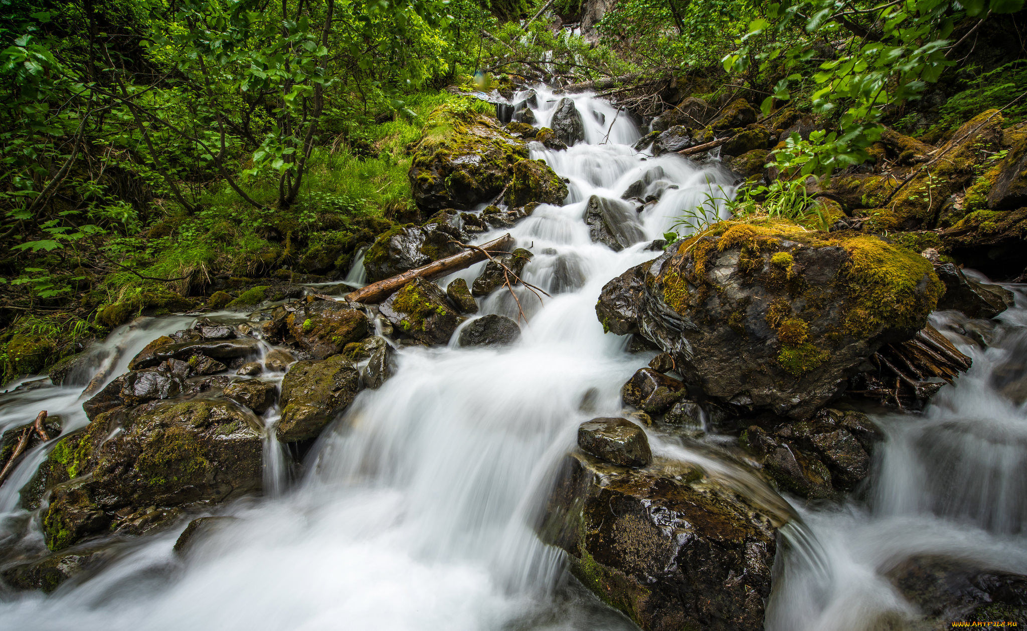 природа, реки, озера, вода, поток, лес, камни